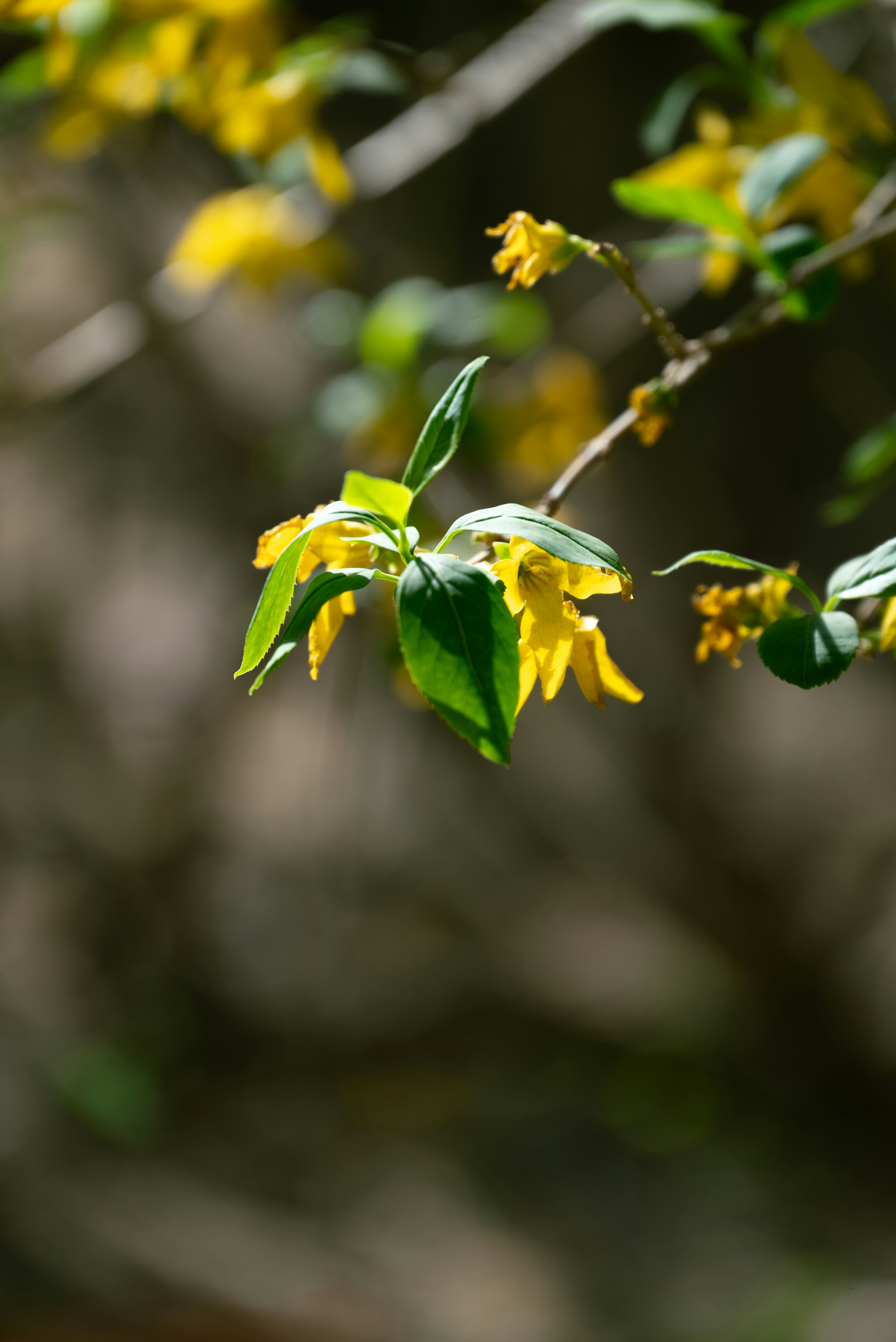 Photo by nikol_royce