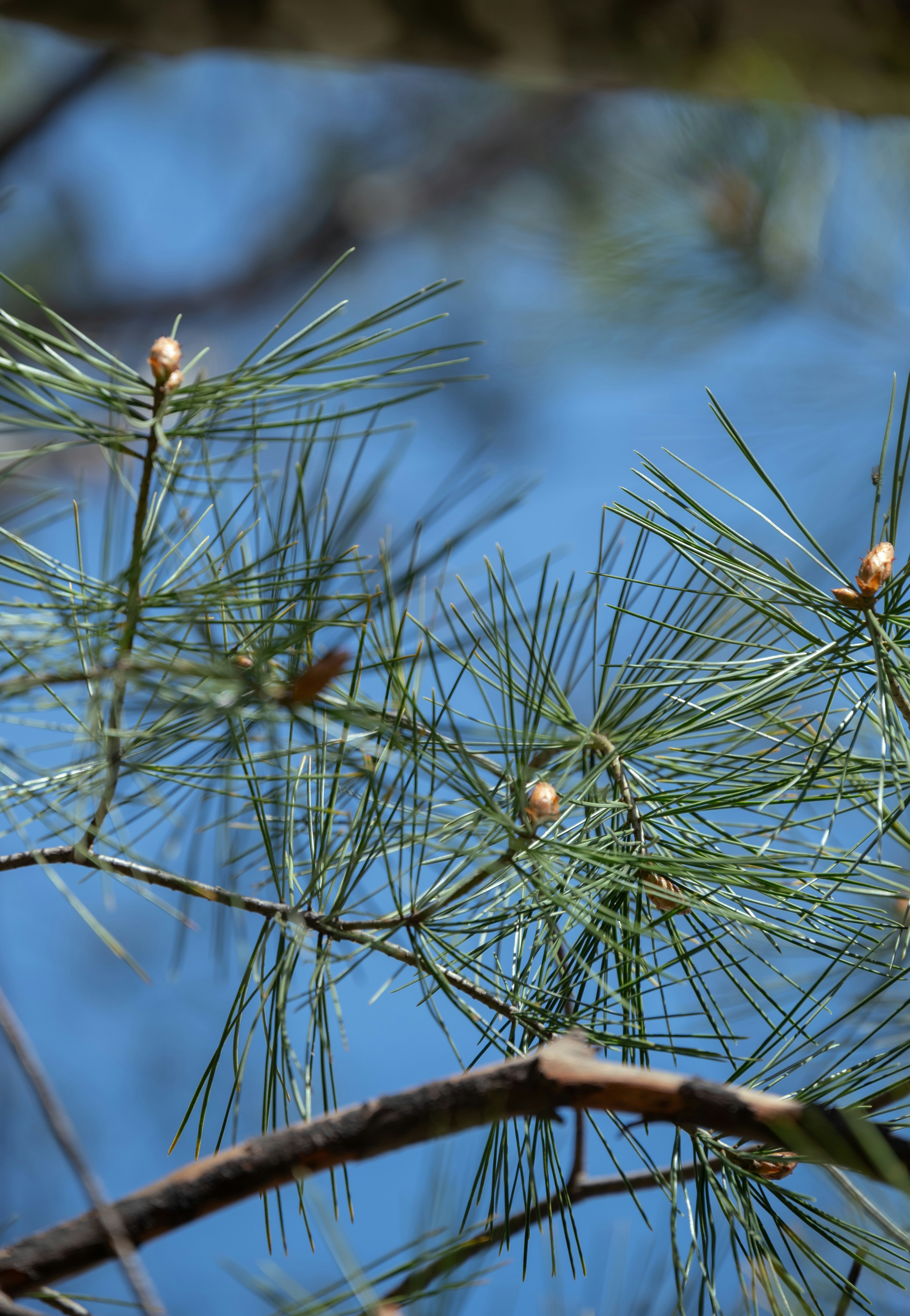 Photo by nikol_royce