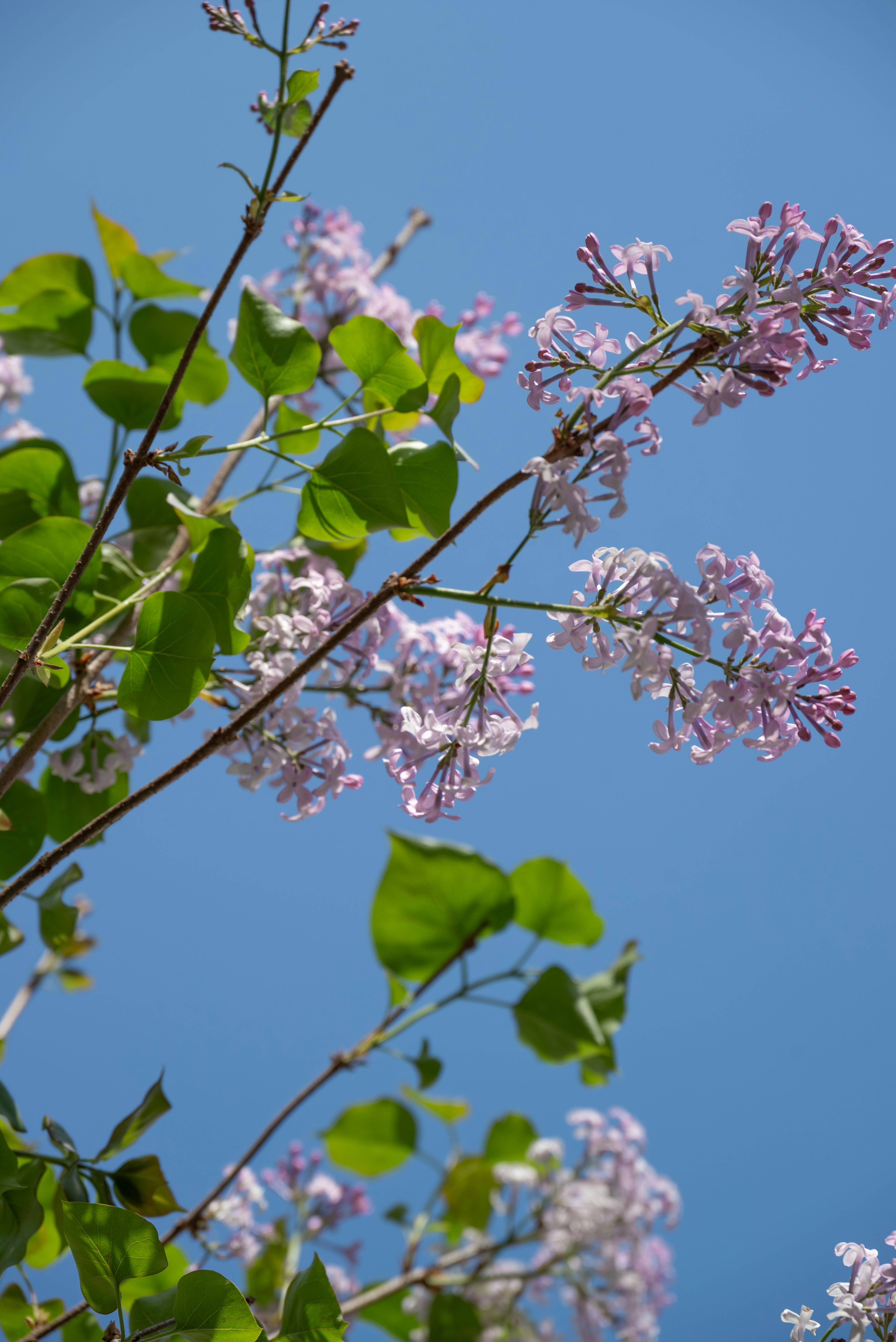 Photo by nikol_royce