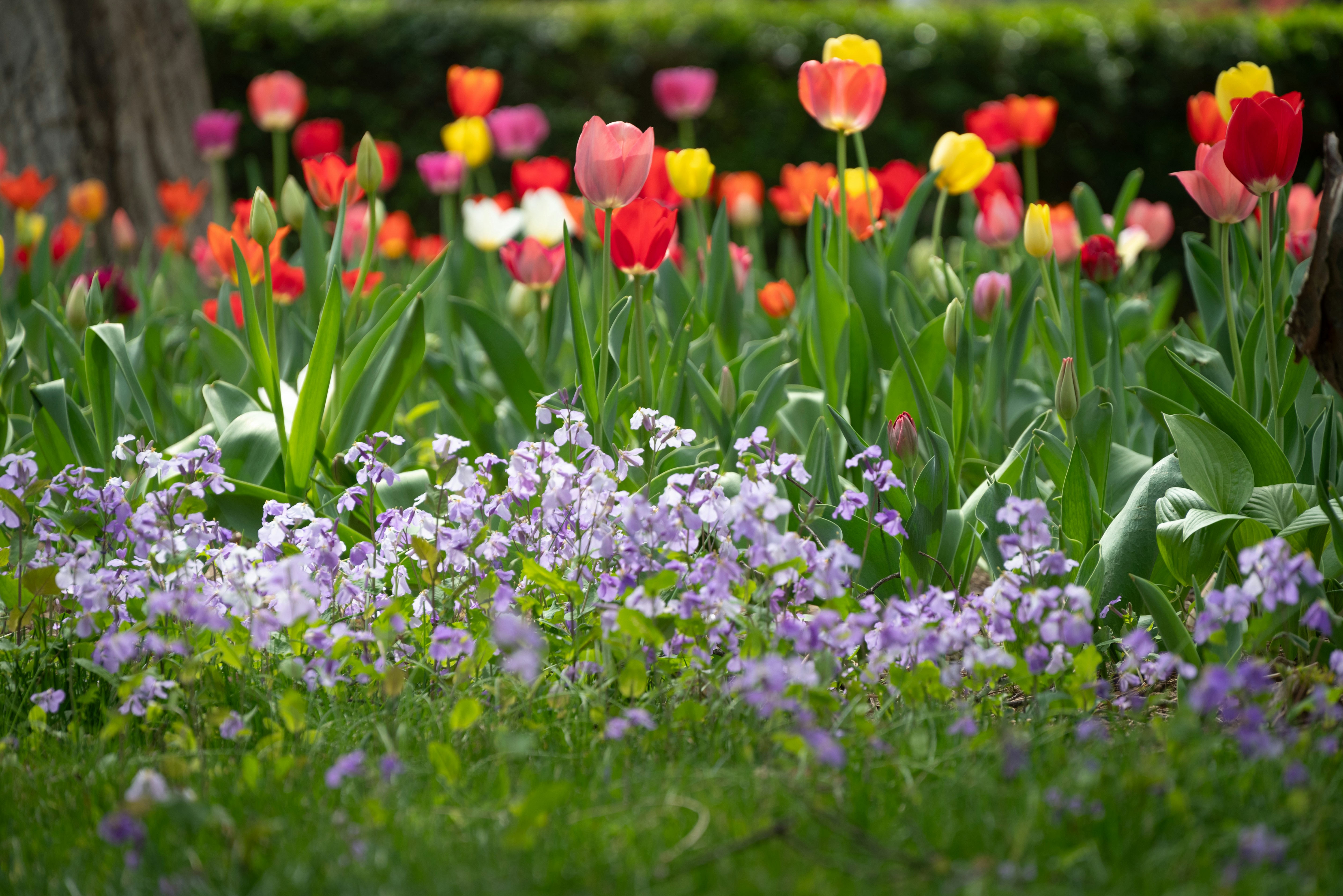 Photo by nikol_royce