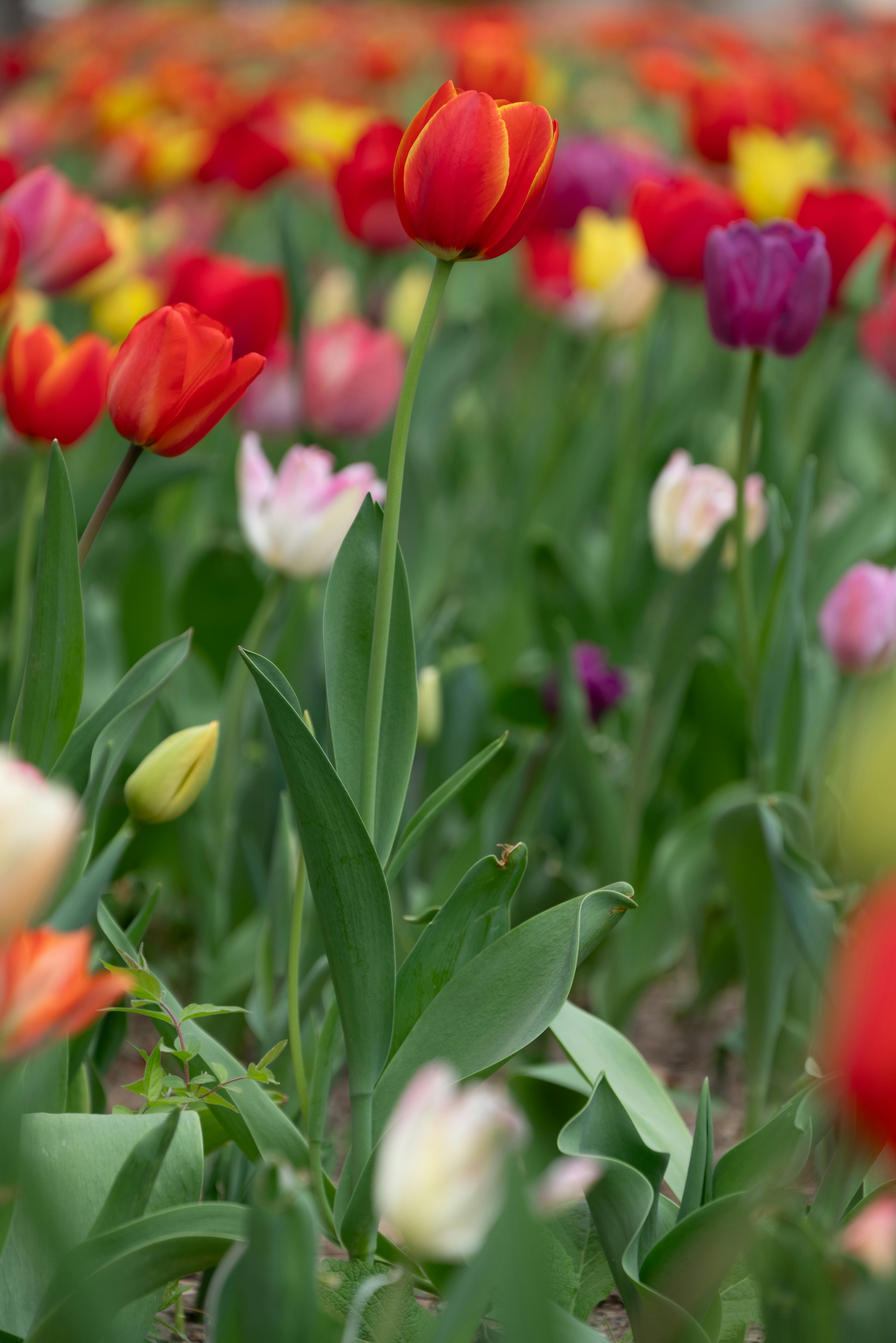 Photo by nikol_royce