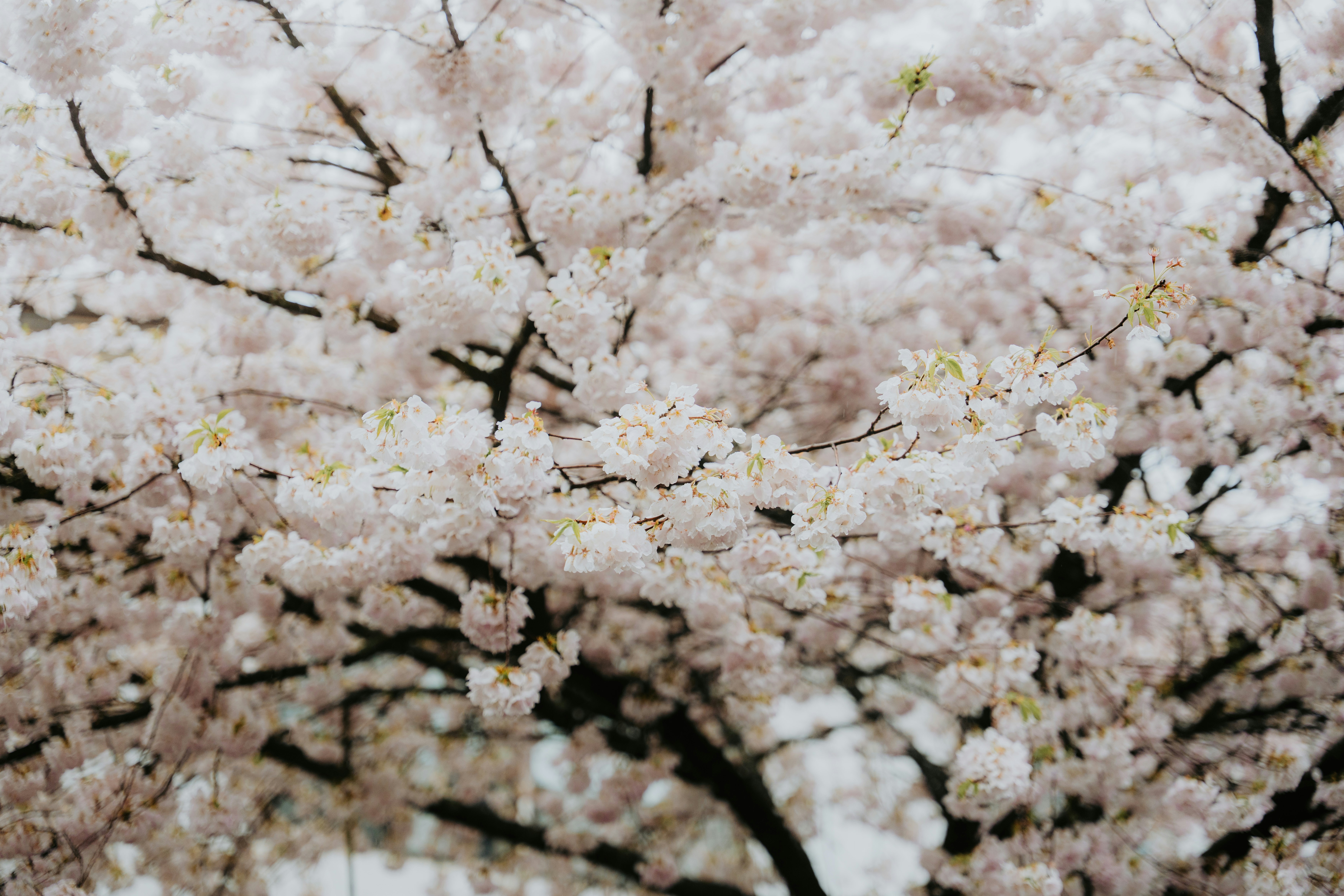 Photo by bylukemiller