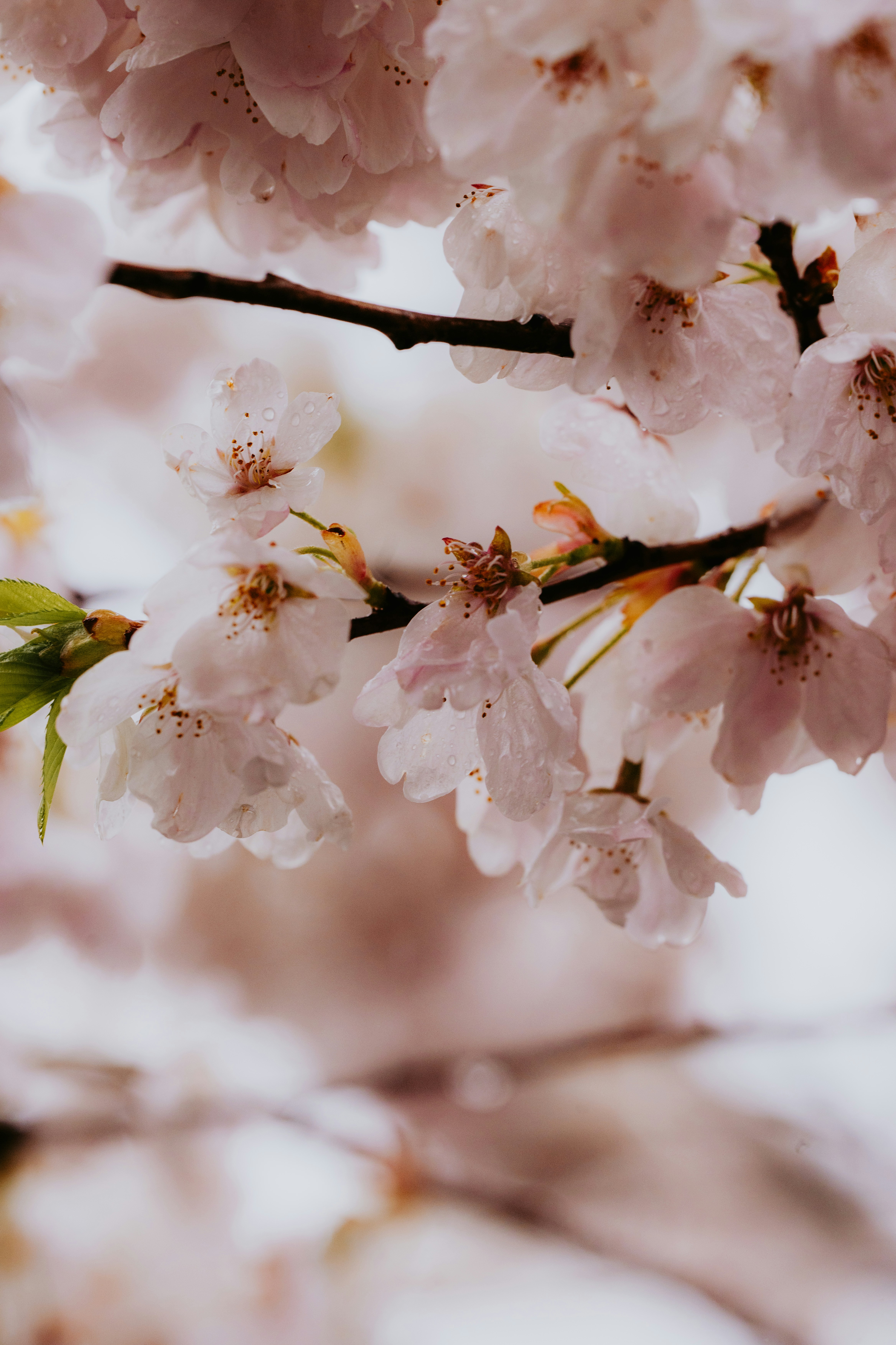 Photo by bylukemiller