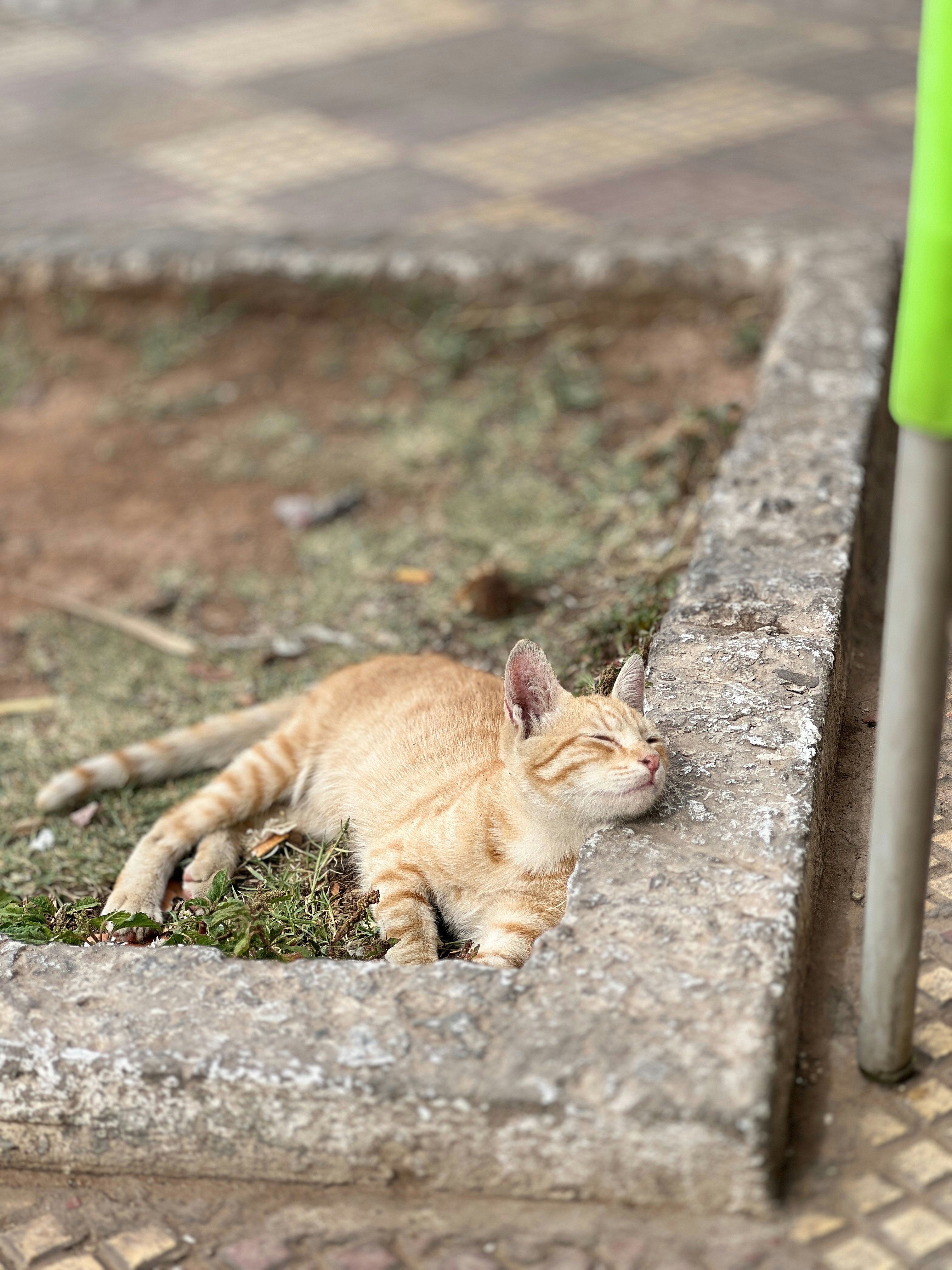 Photo by elmountassir1