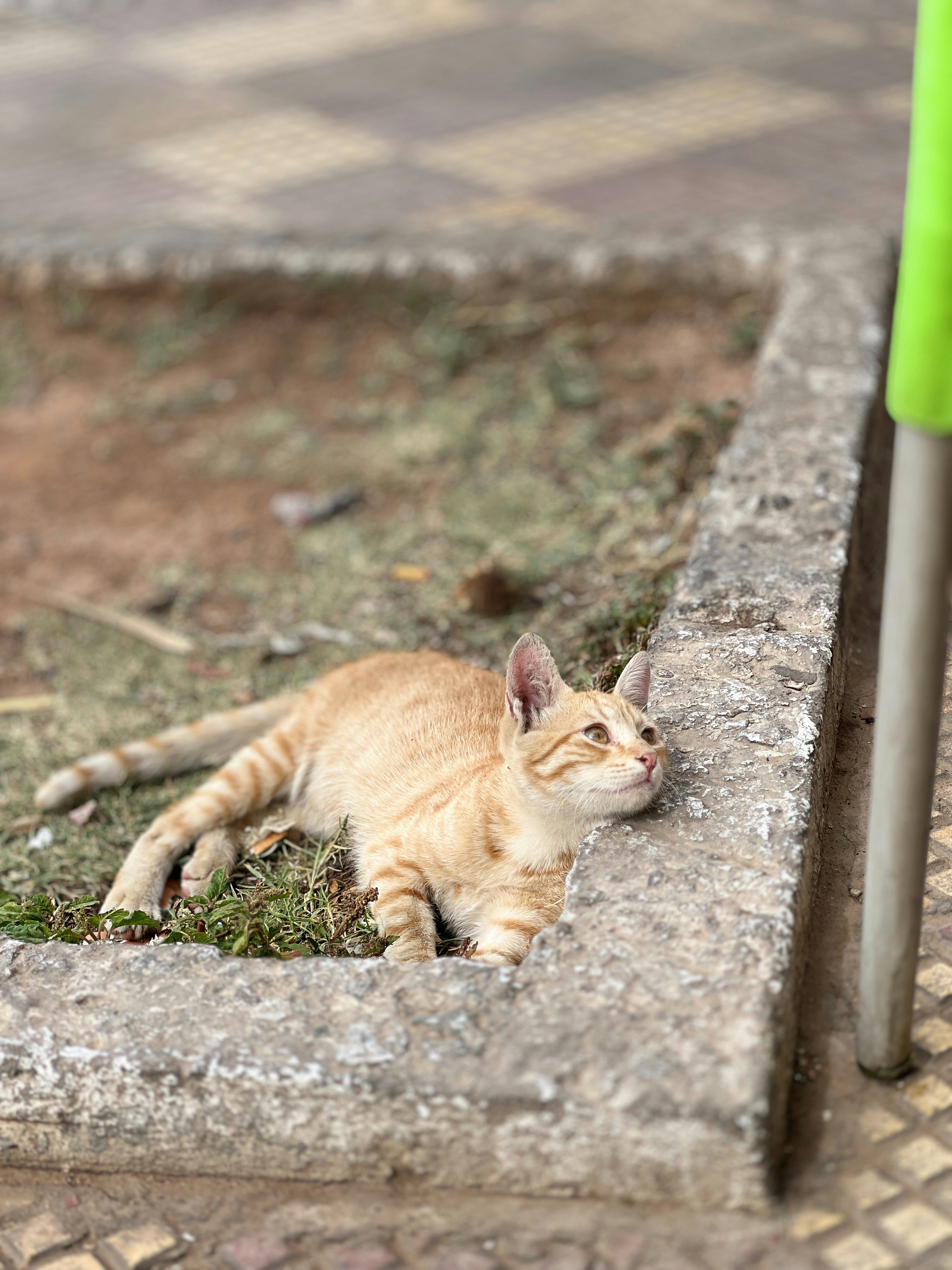 Photo by elmountassir1