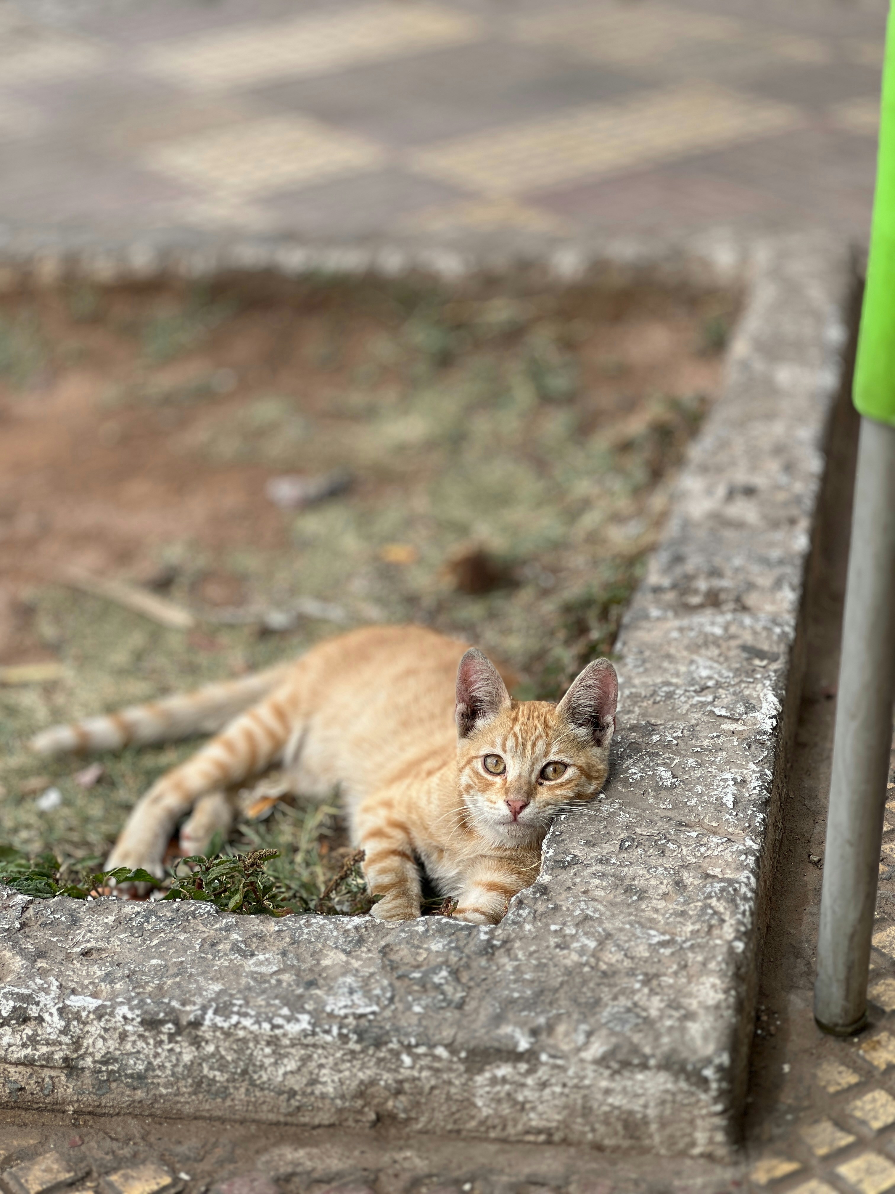 Photo by elmountassir1