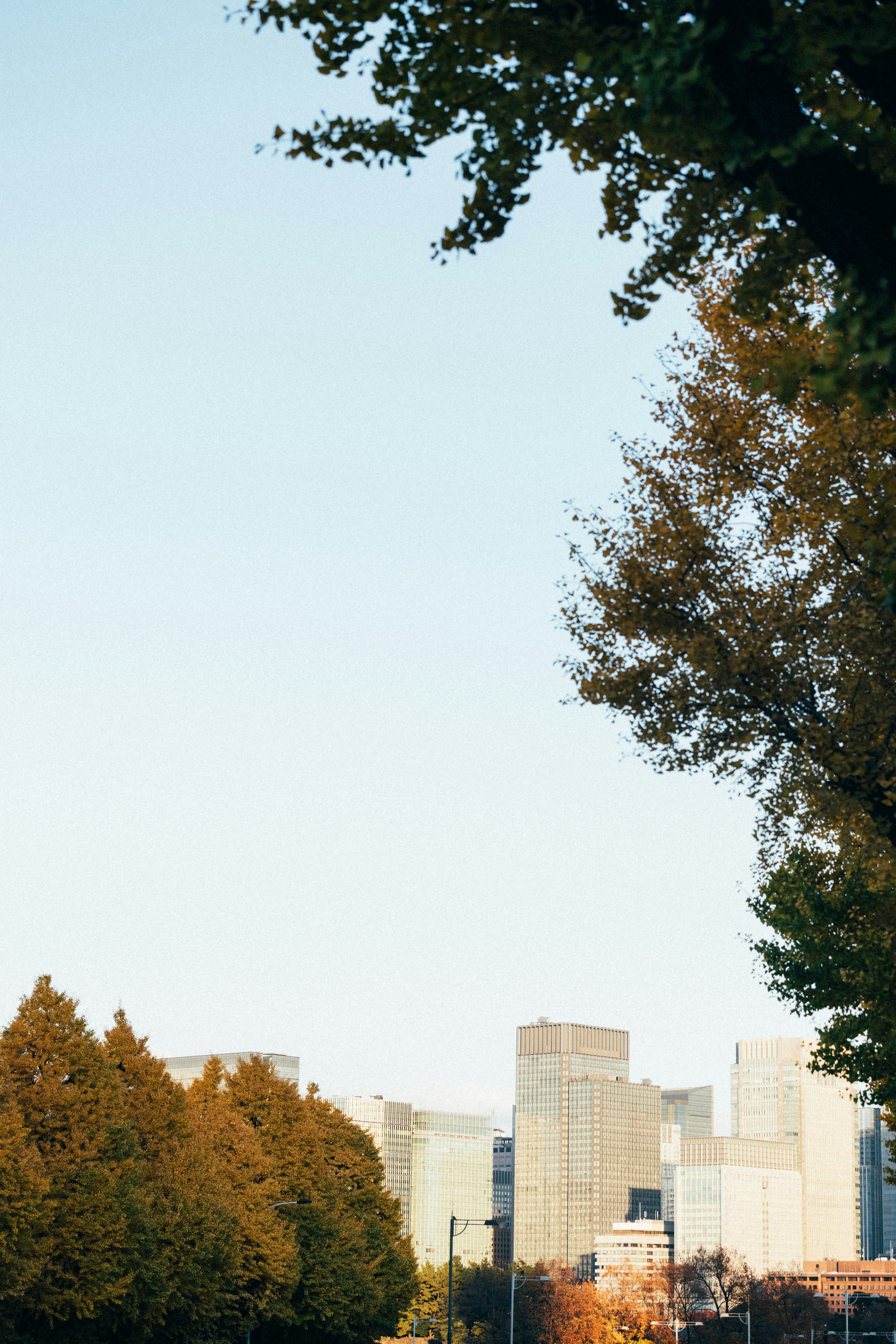 Photo by tsuyoshikozu