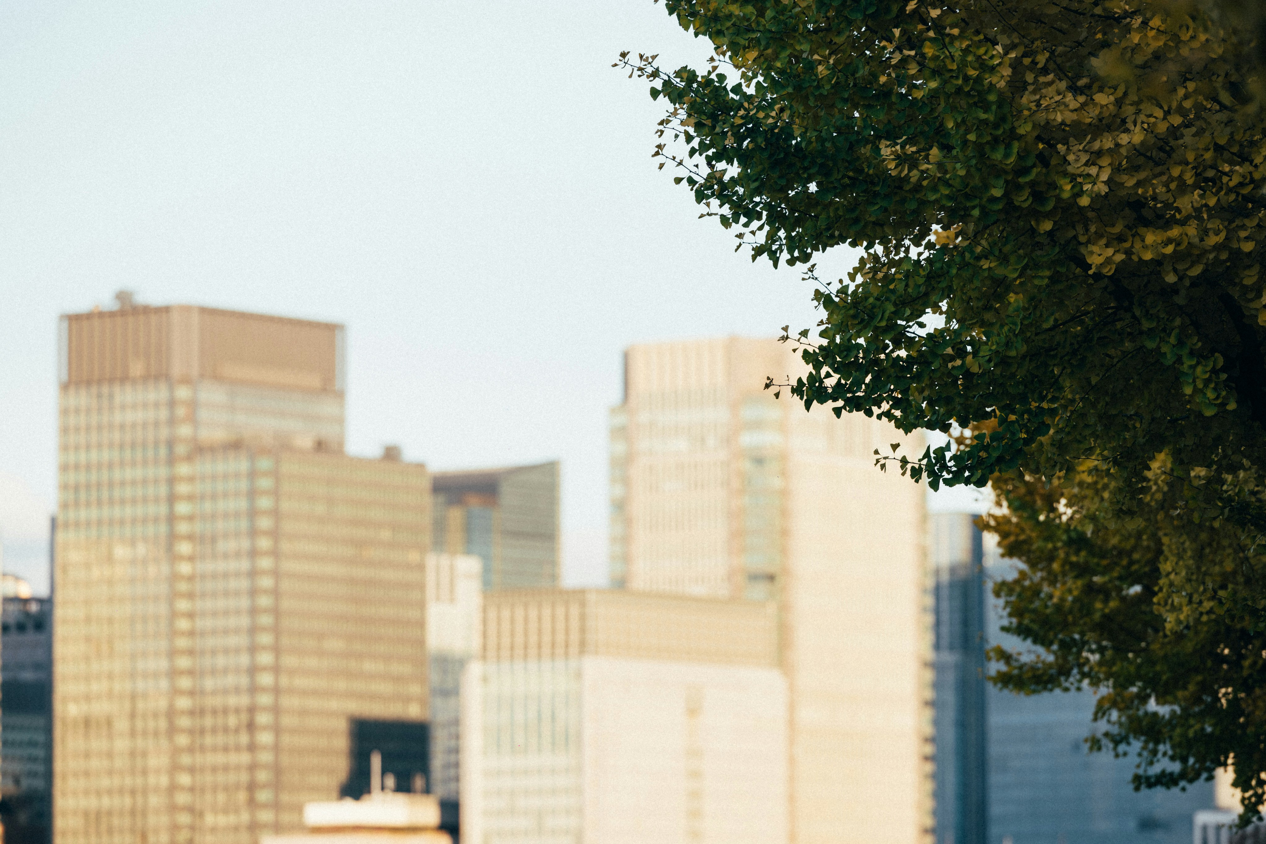 Photo by tsuyoshikozu