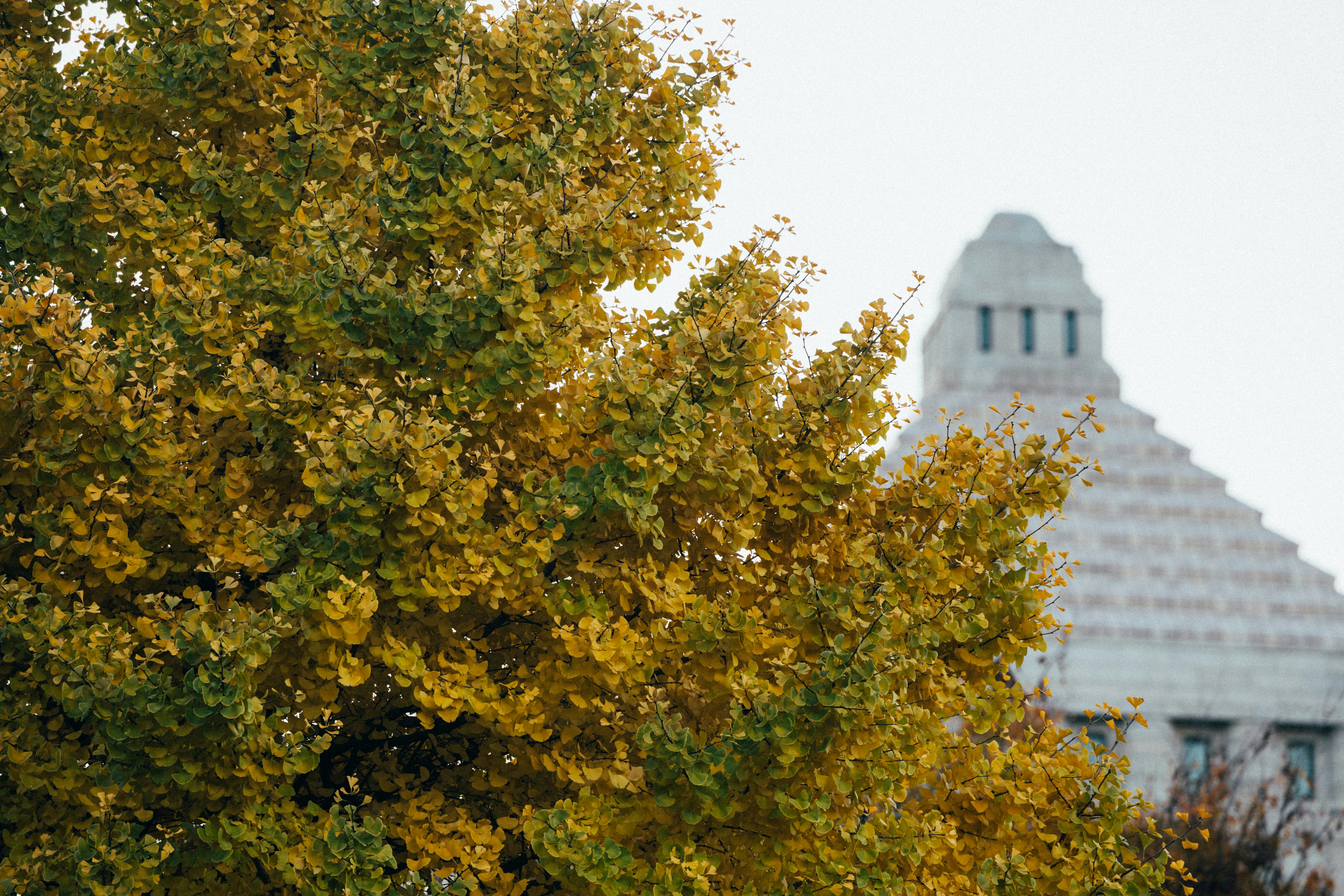 Photo by tsuyoshikozu