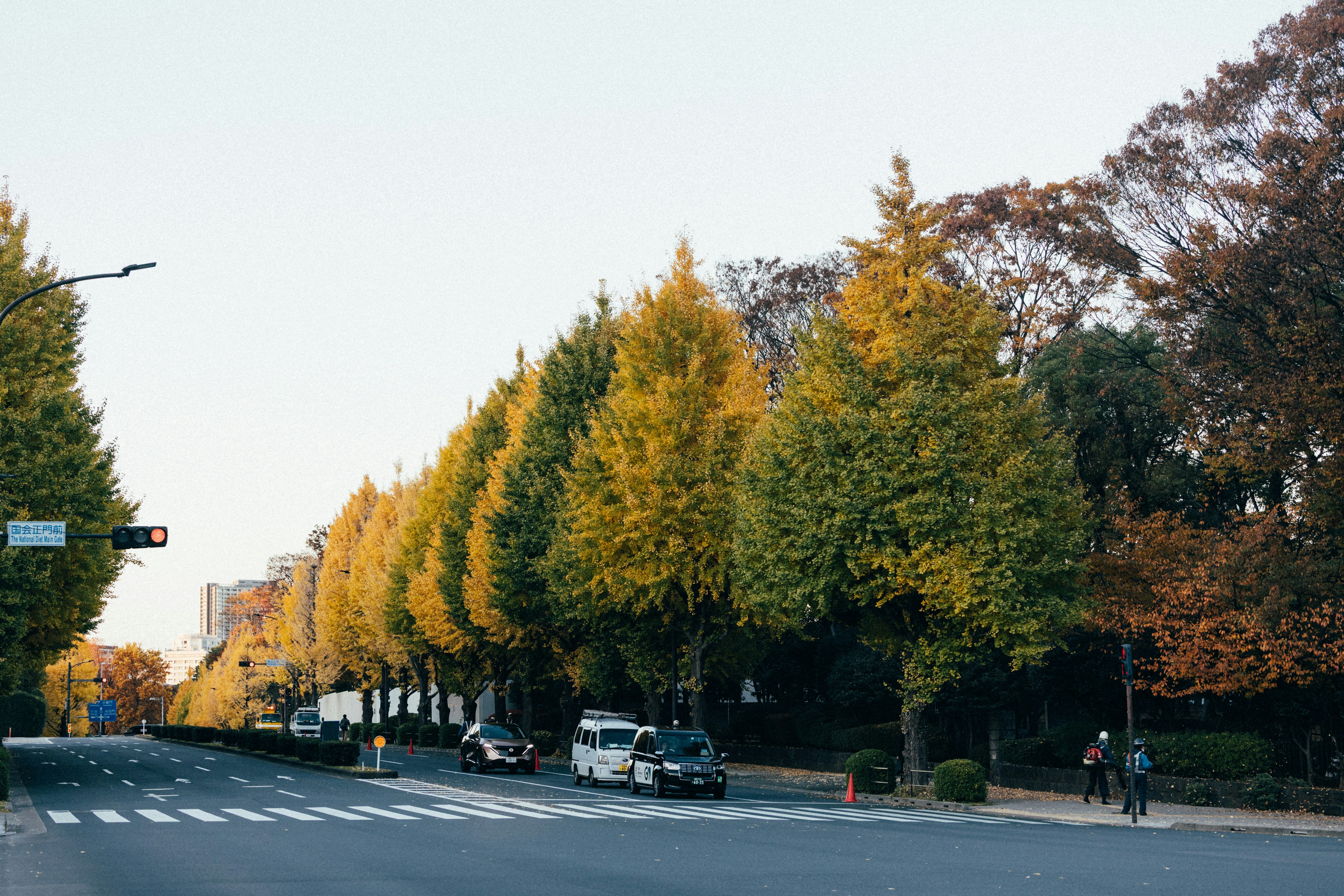 Photo by tsuyoshikozu