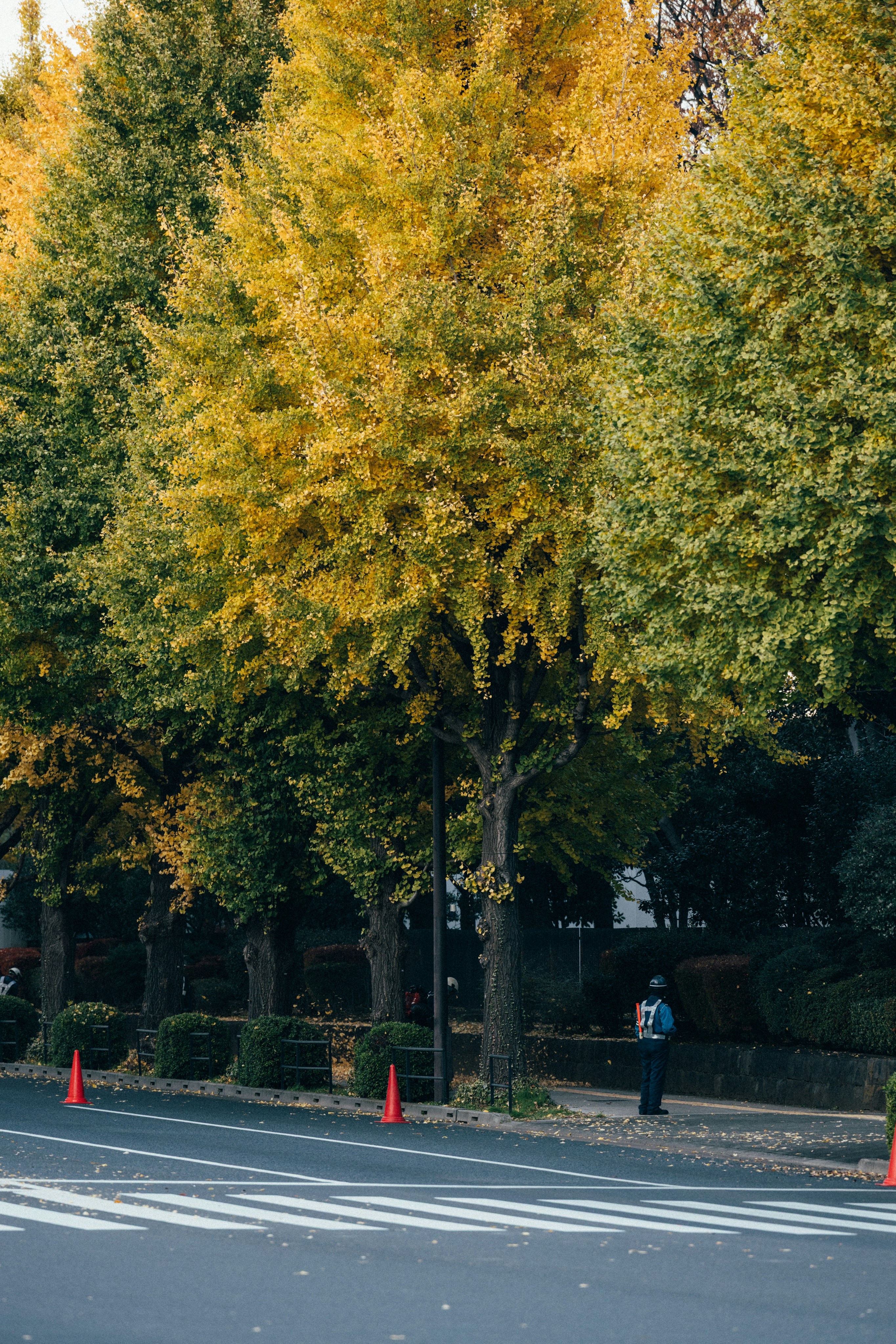 Photo by tsuyoshikozu