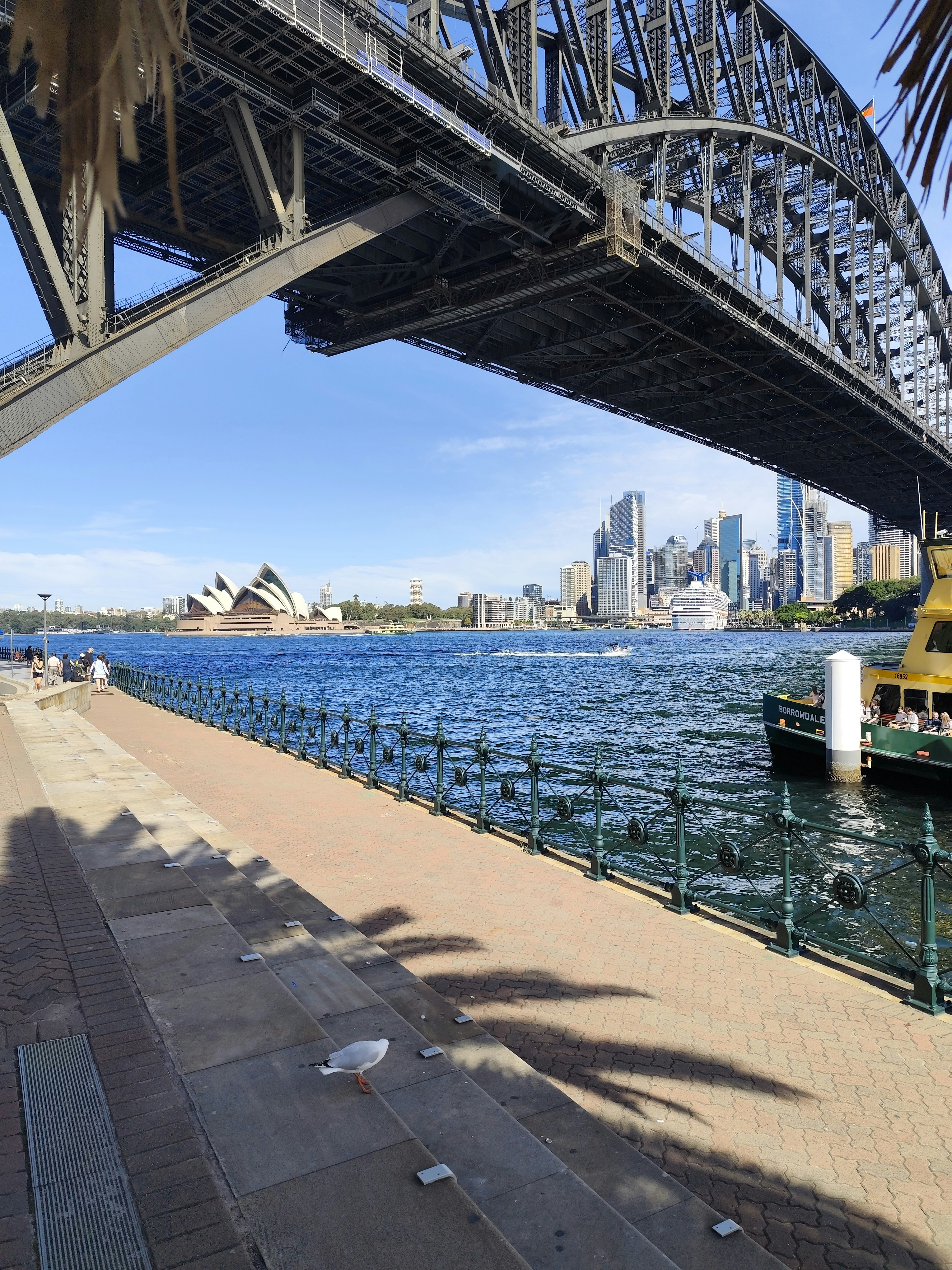 El puente de la bahía de Sídney y la ópera a la vista.