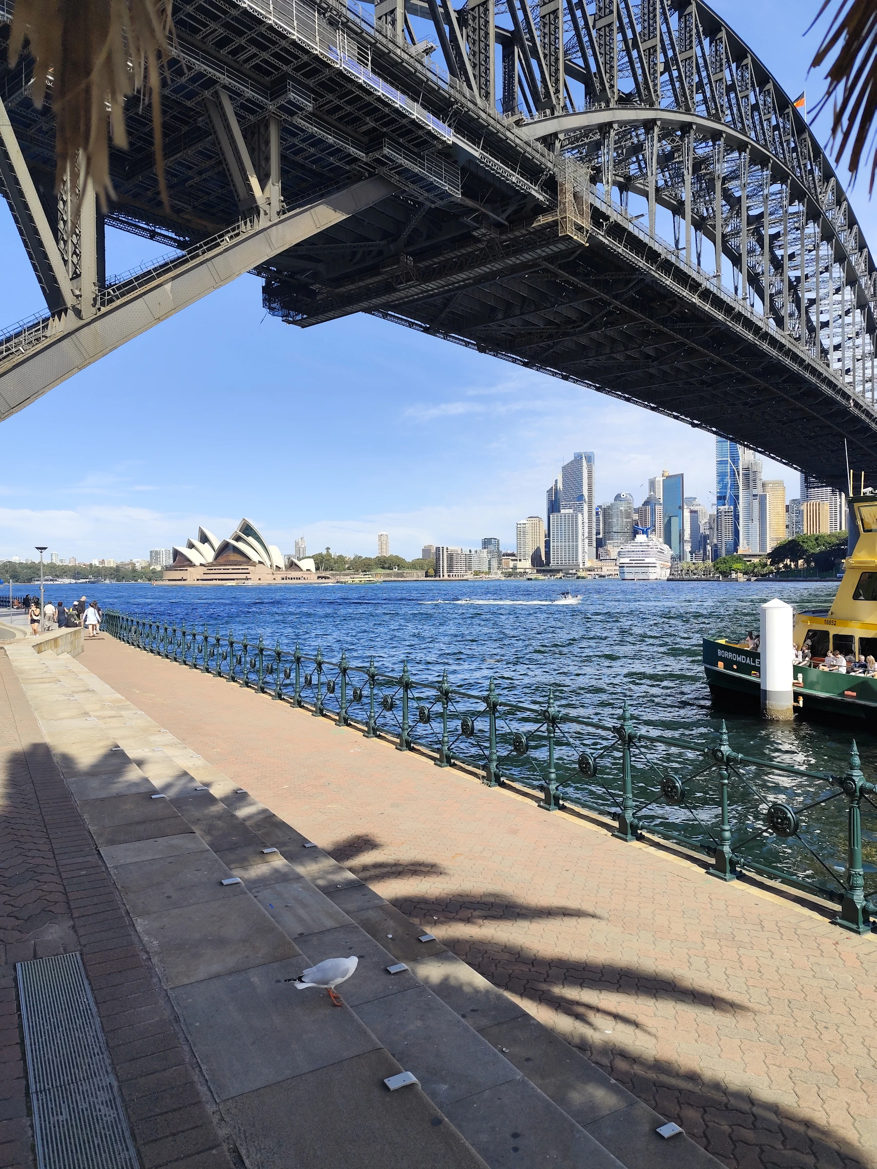 Sydney Opera House and Harbour Bridge