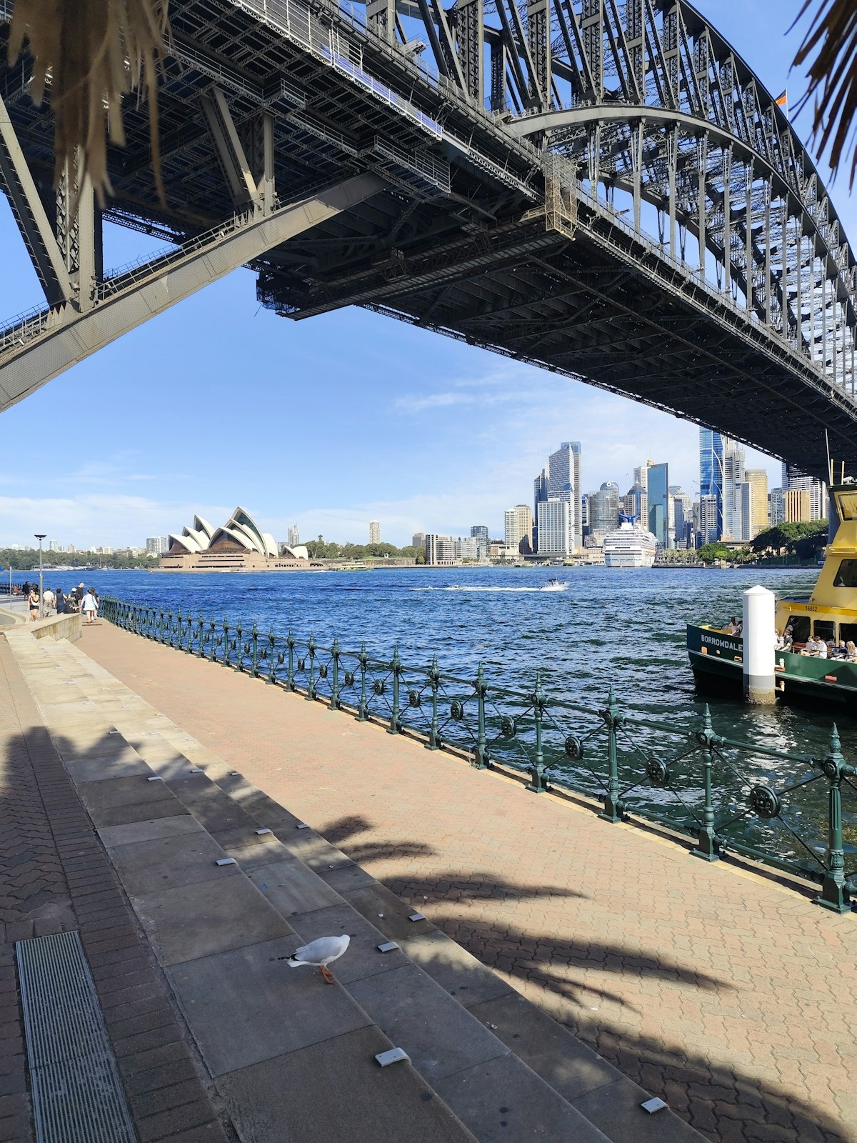 Sydney November — the Harbour Bridge and Opera House gleaming under bright spring sunshine