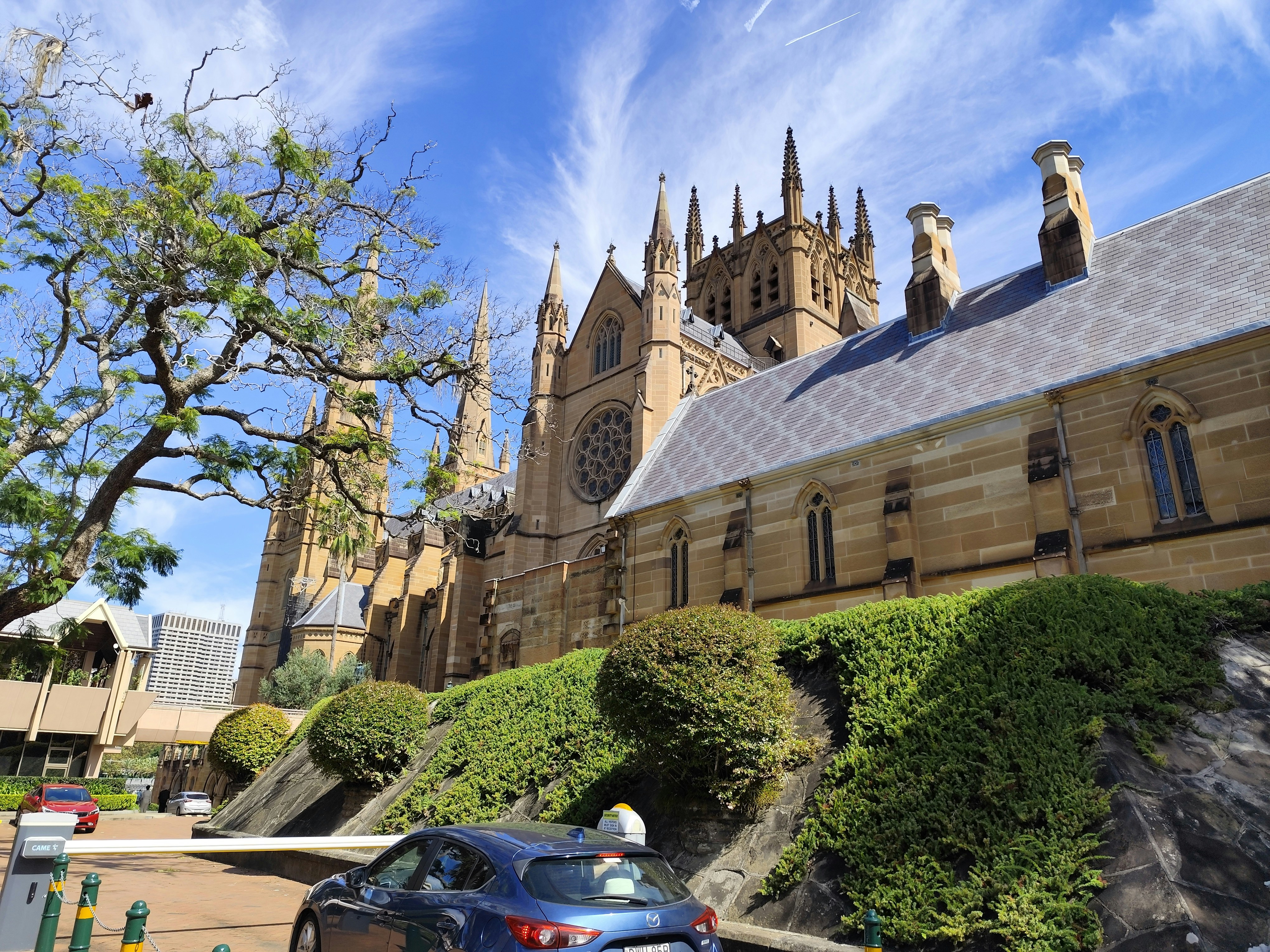 A grand cathedral stands under a blue sky.