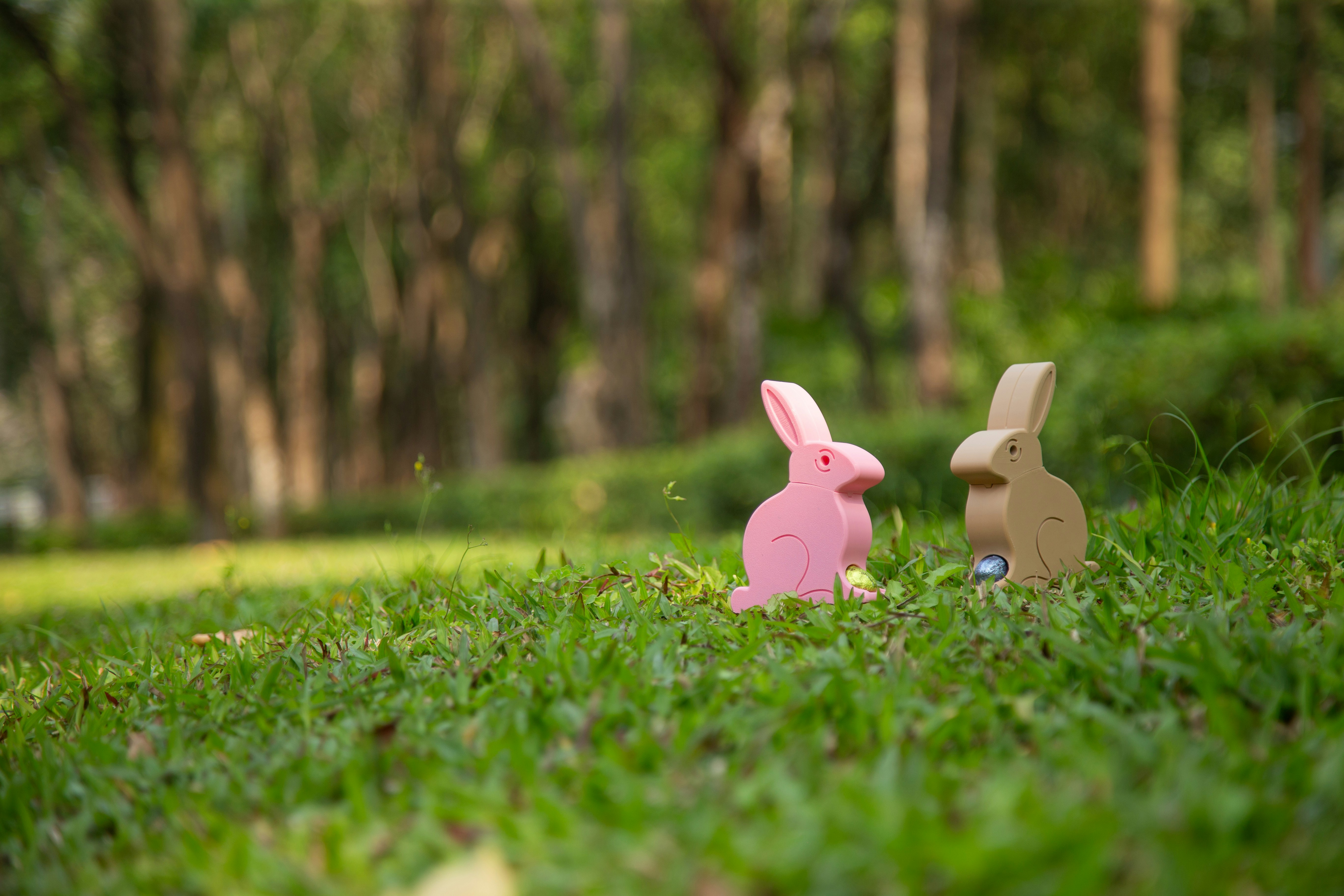 Photo by snapmaker_official