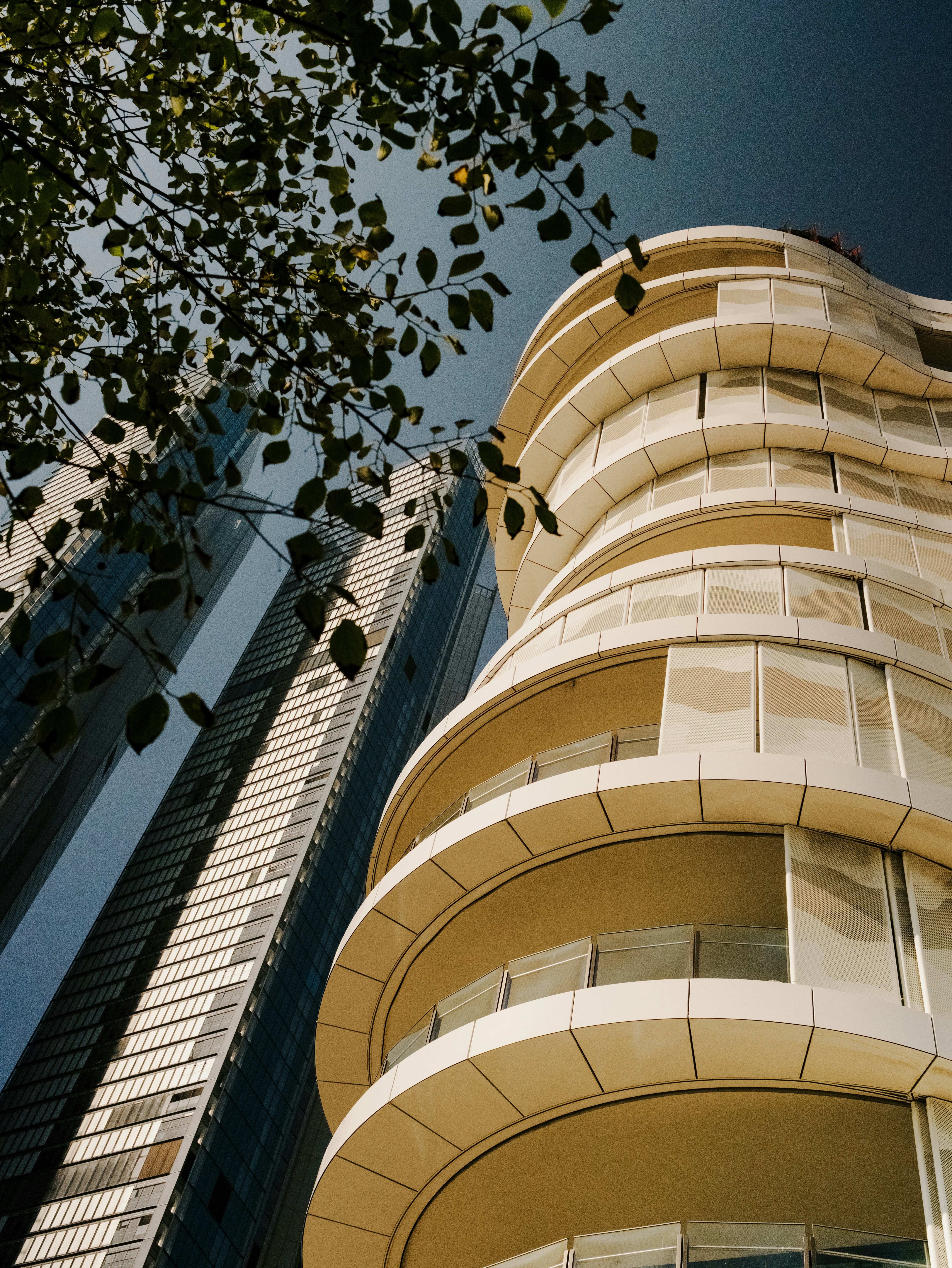 Photo by imscottrobertson1