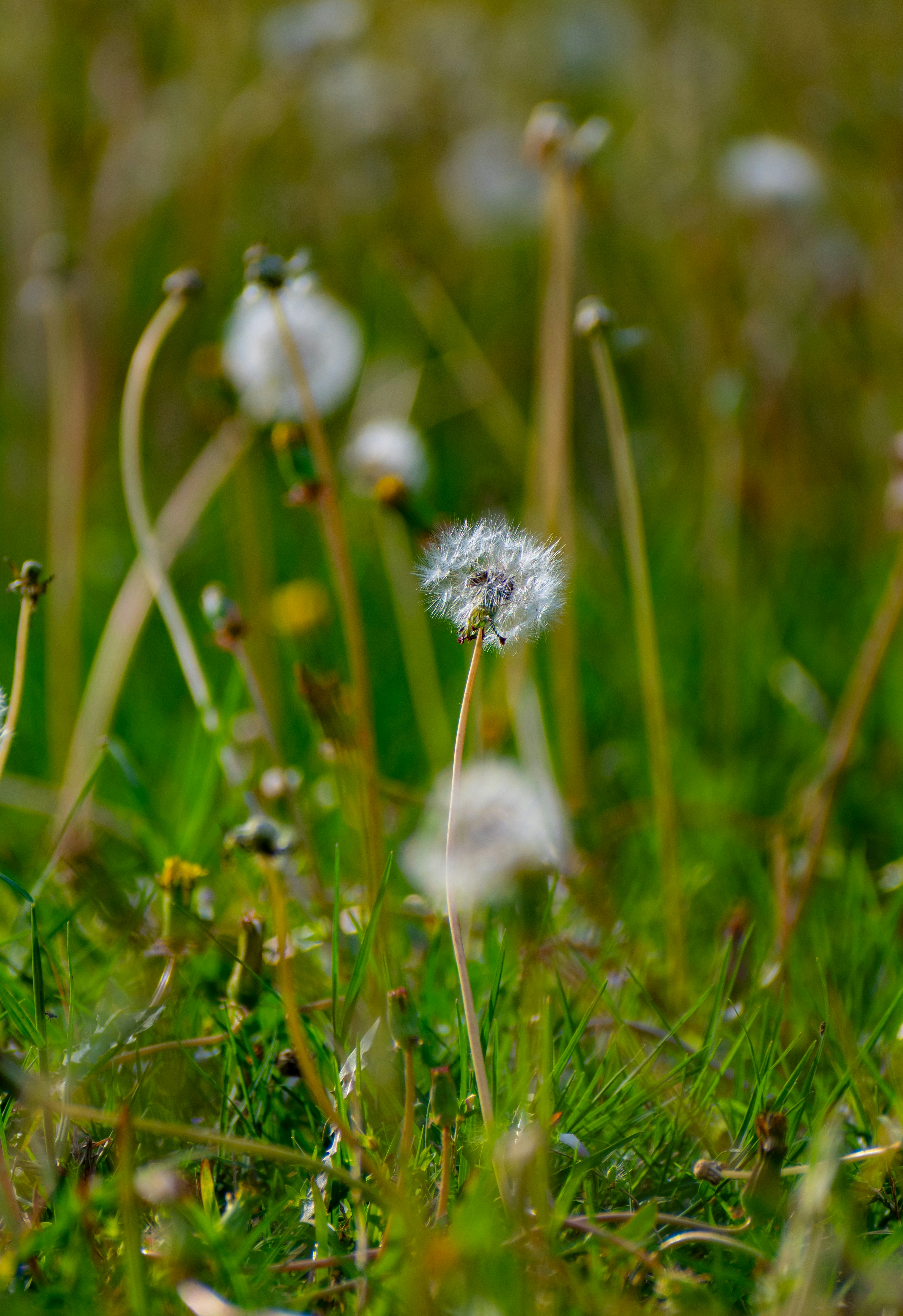 Photo by maheerakulsoom