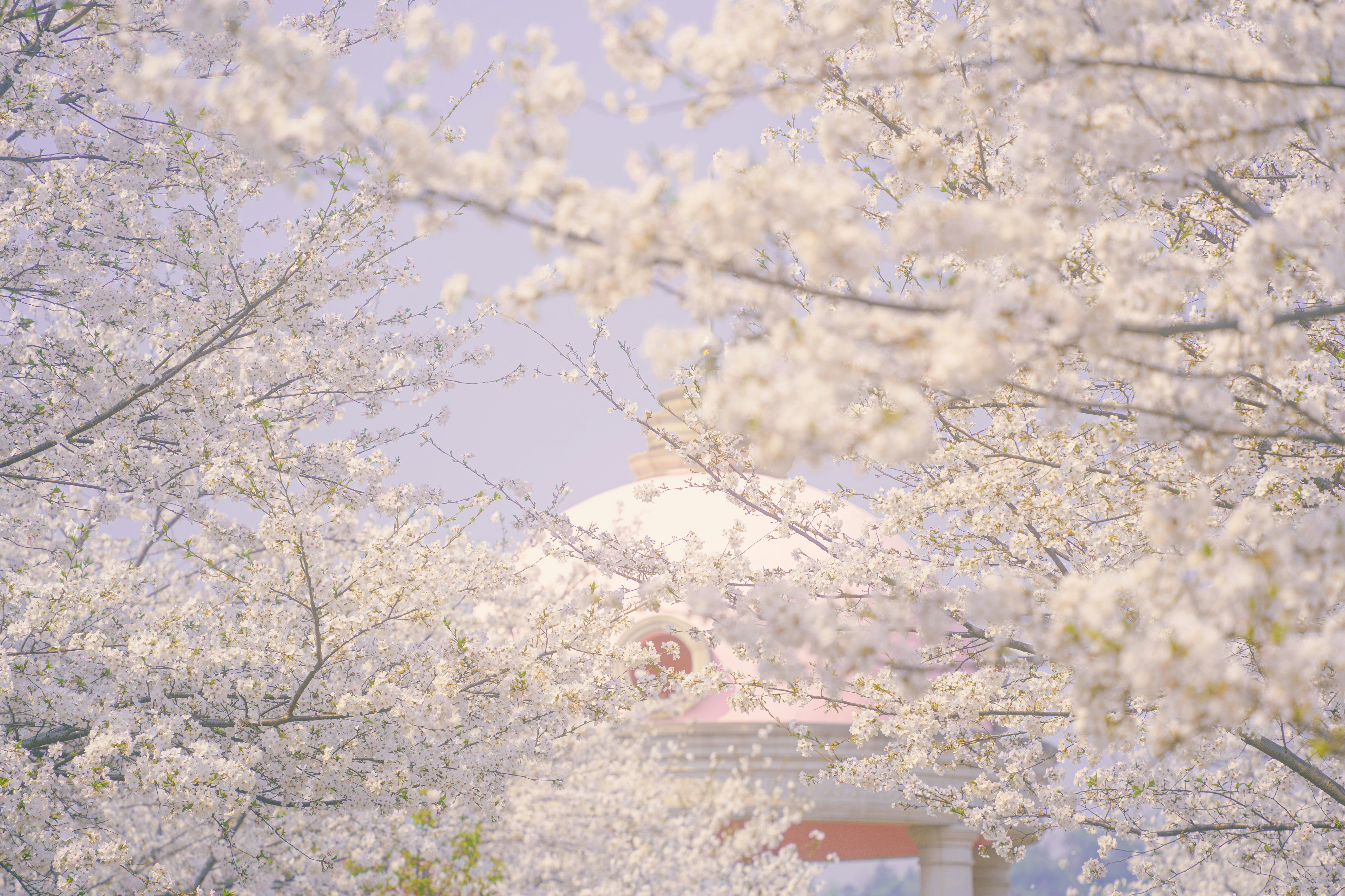 Photo by xiexianghua