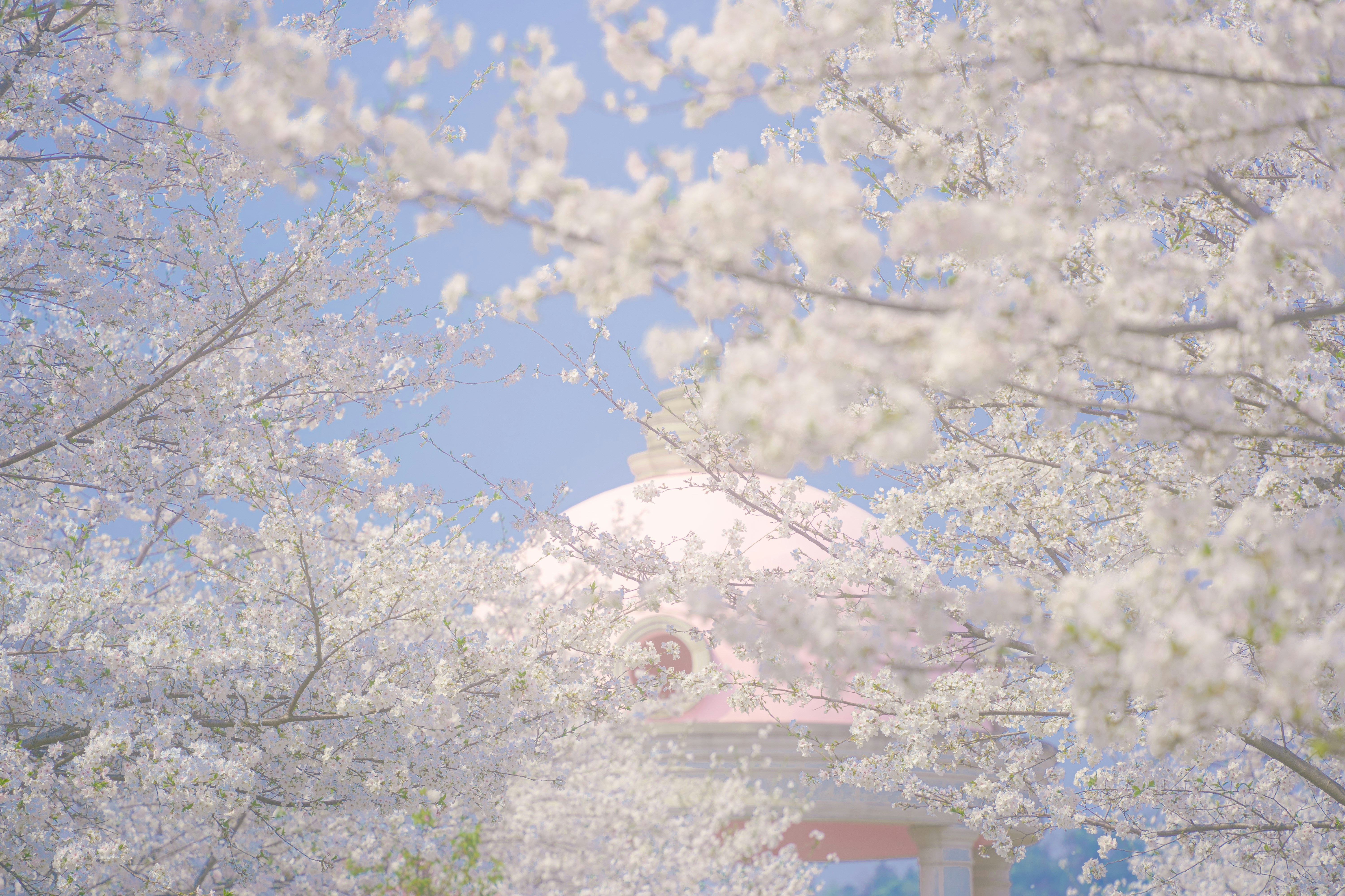 Photo by xiexianghua