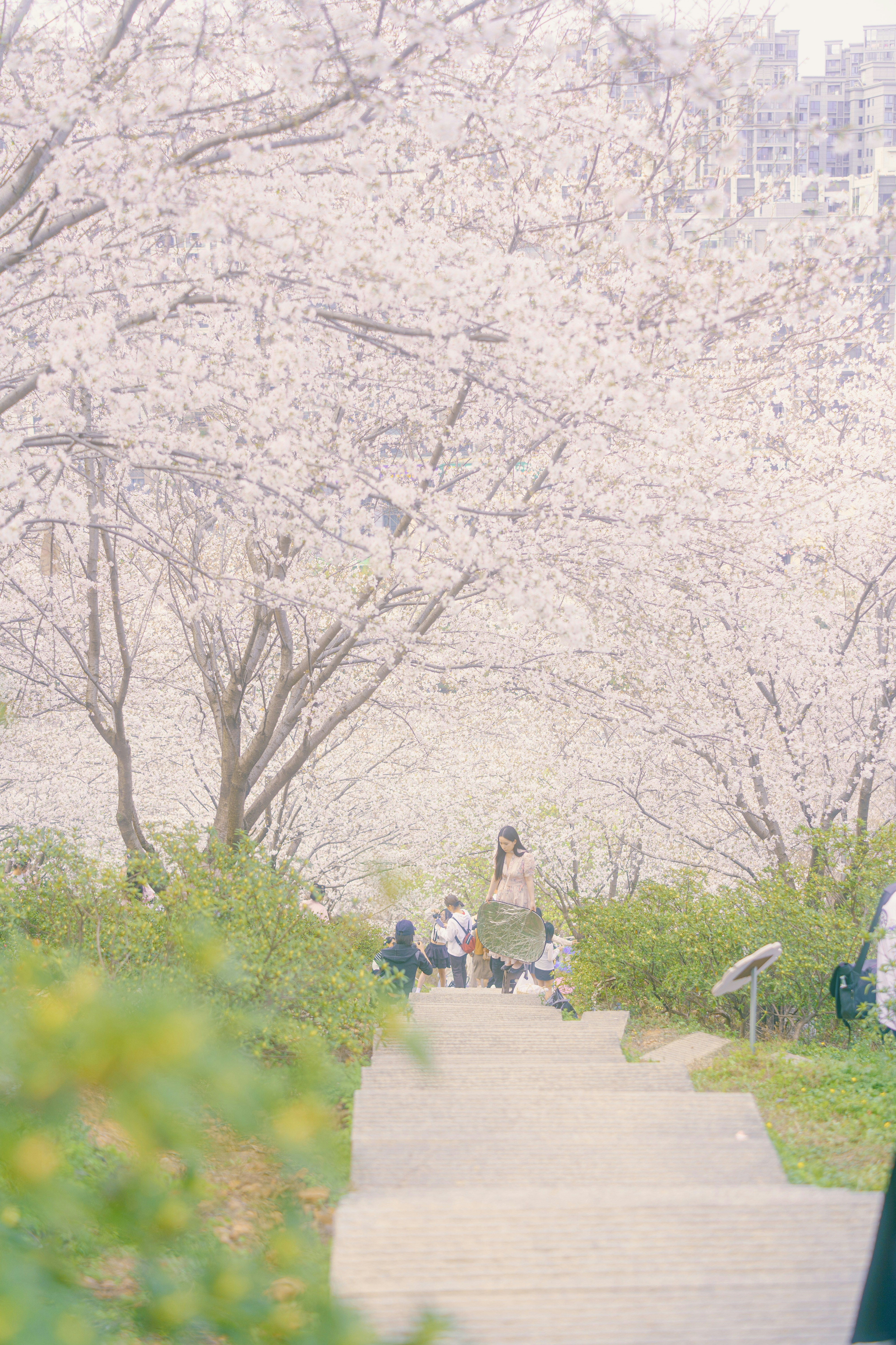 Photo by xiexianghua