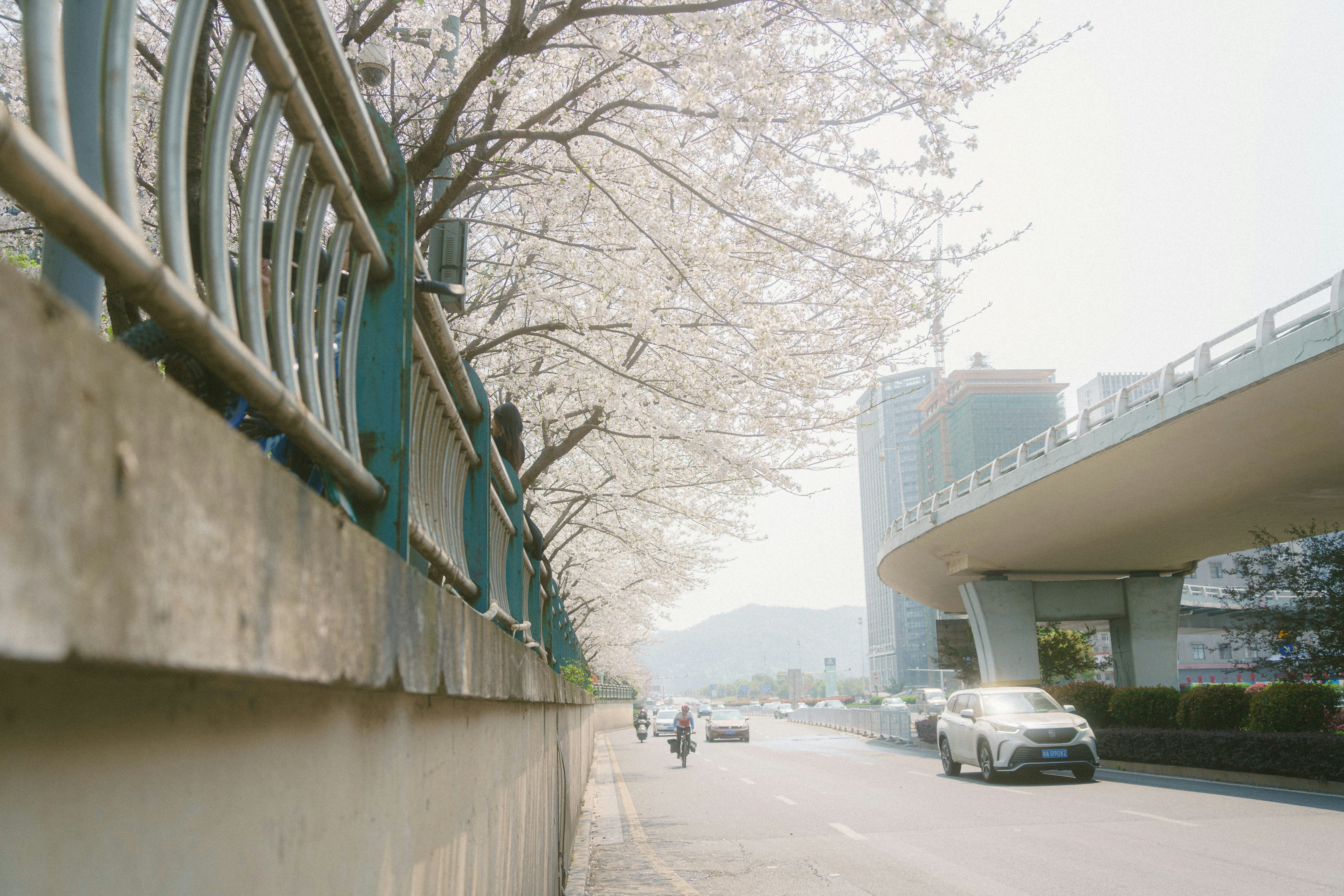 Photo by xiexianghua