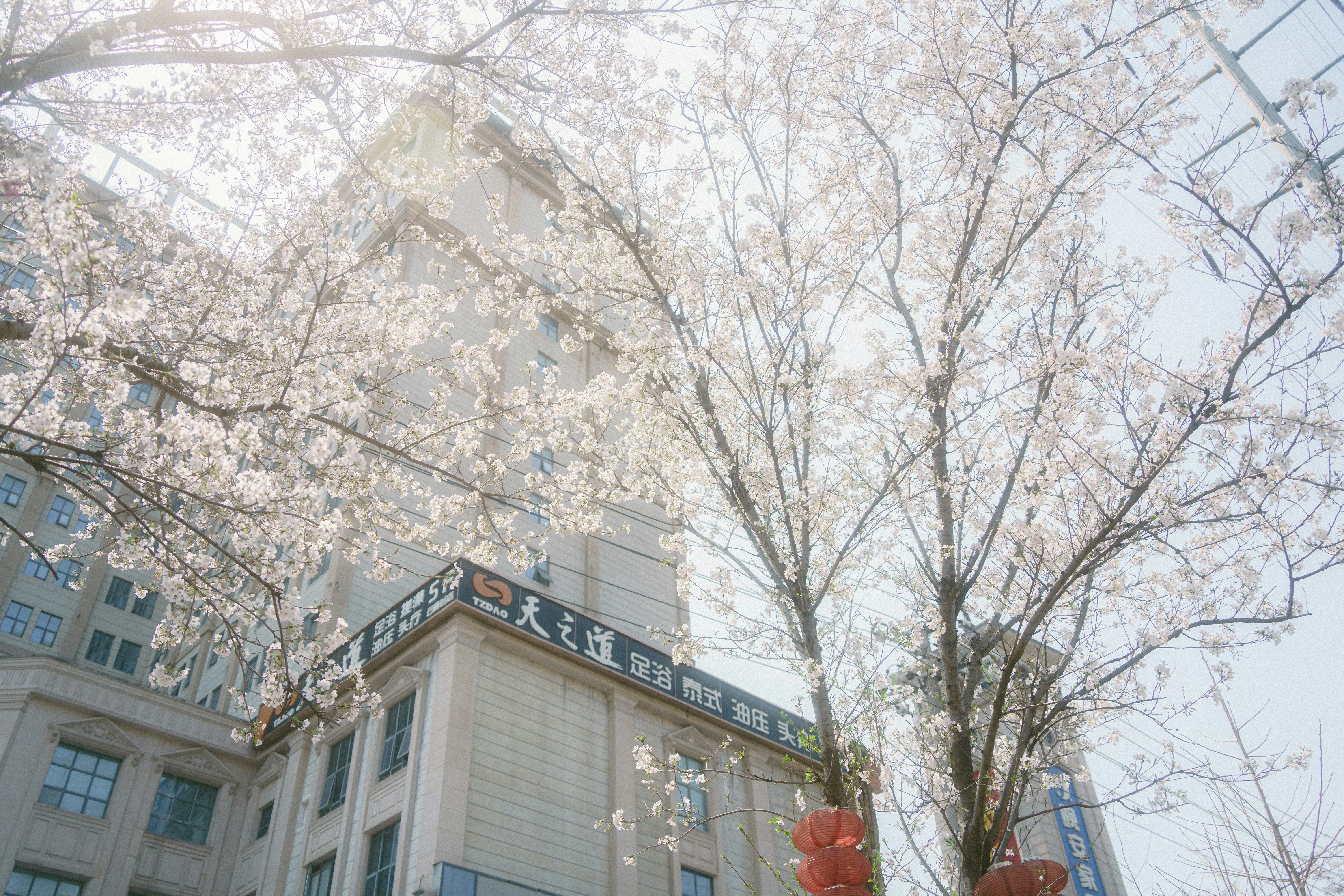 Photo by xiexianghua