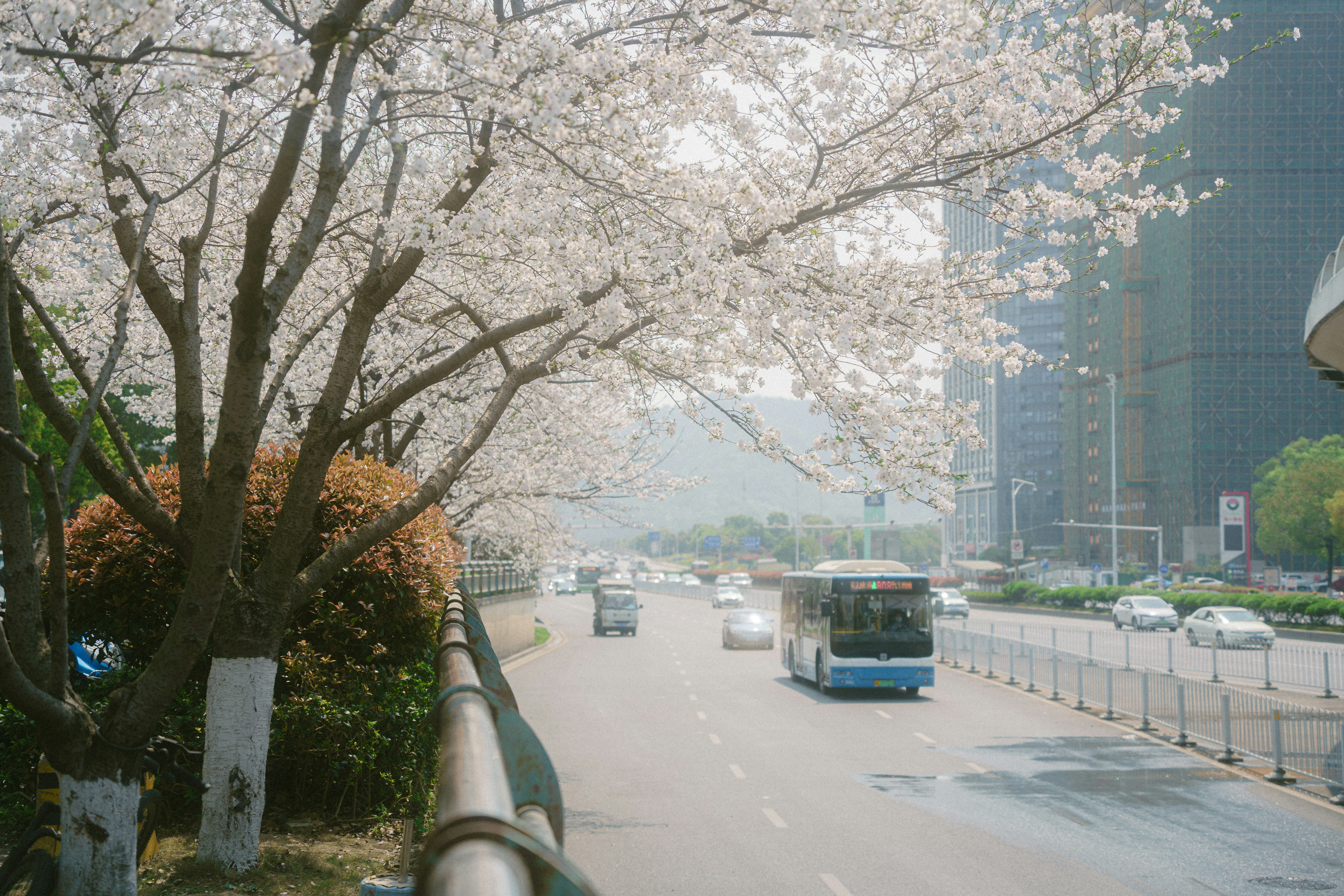 Photo by xiexianghua