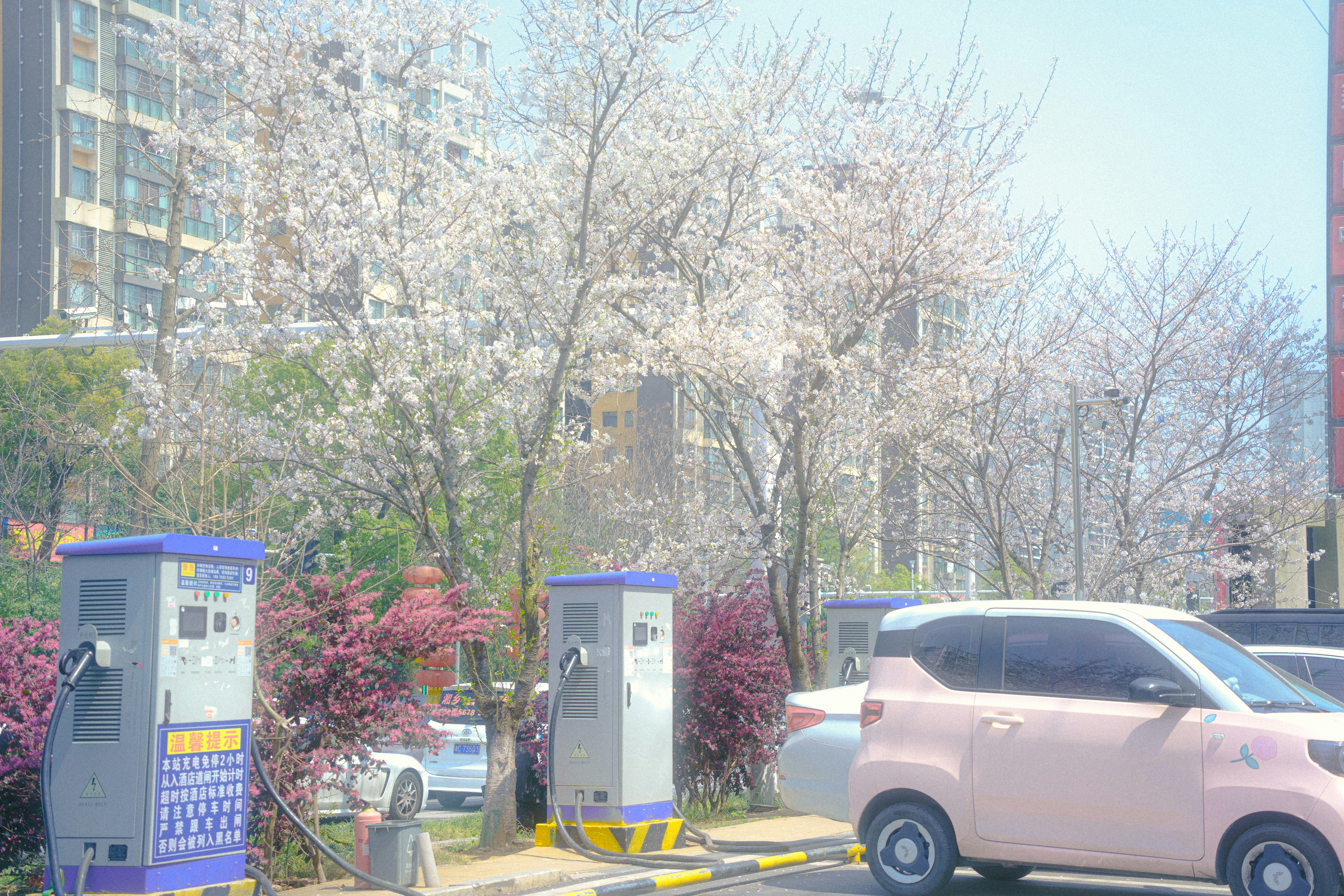 이현 자동차검사소 예약 조회 비용 관련 이미지2