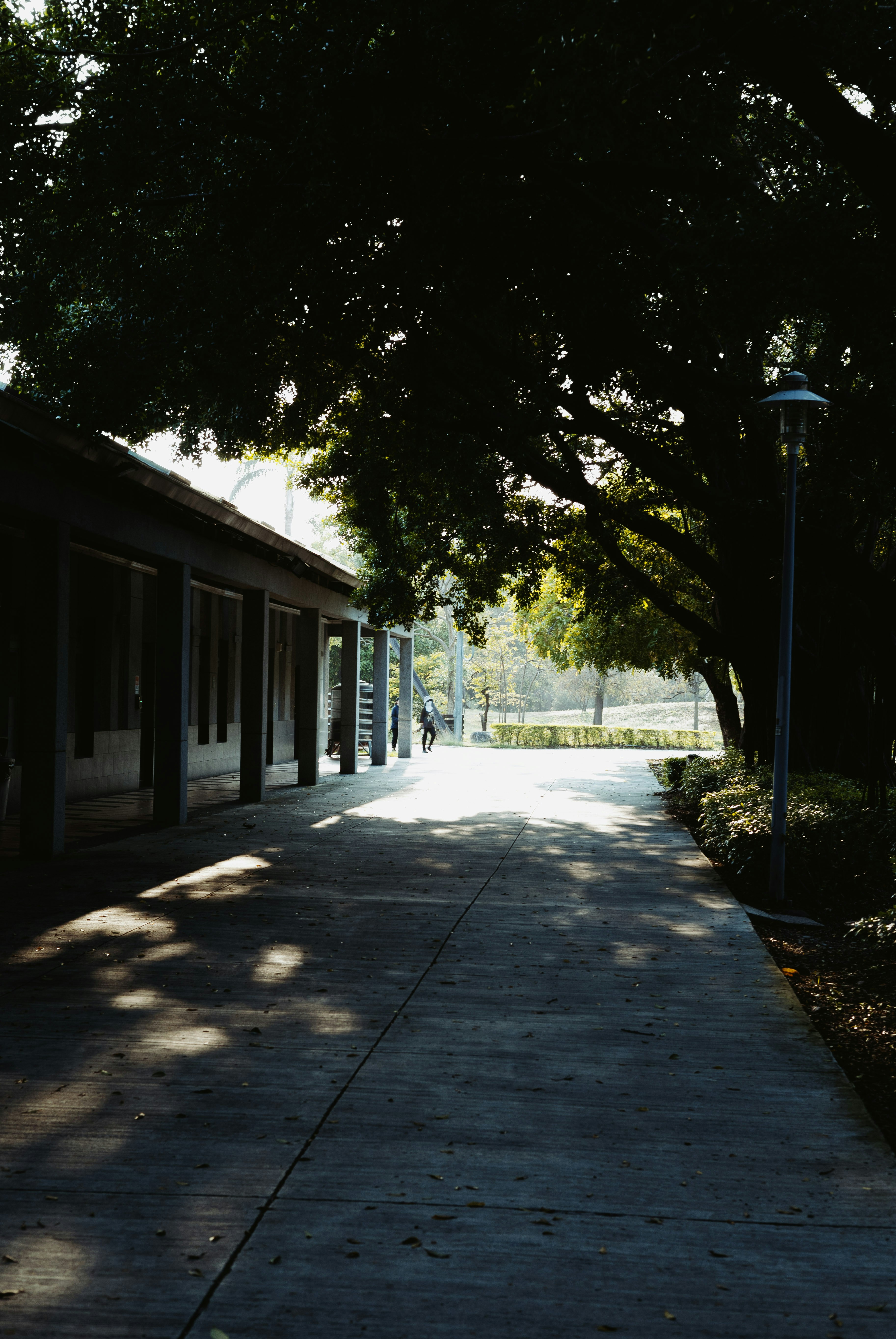 Street Photography