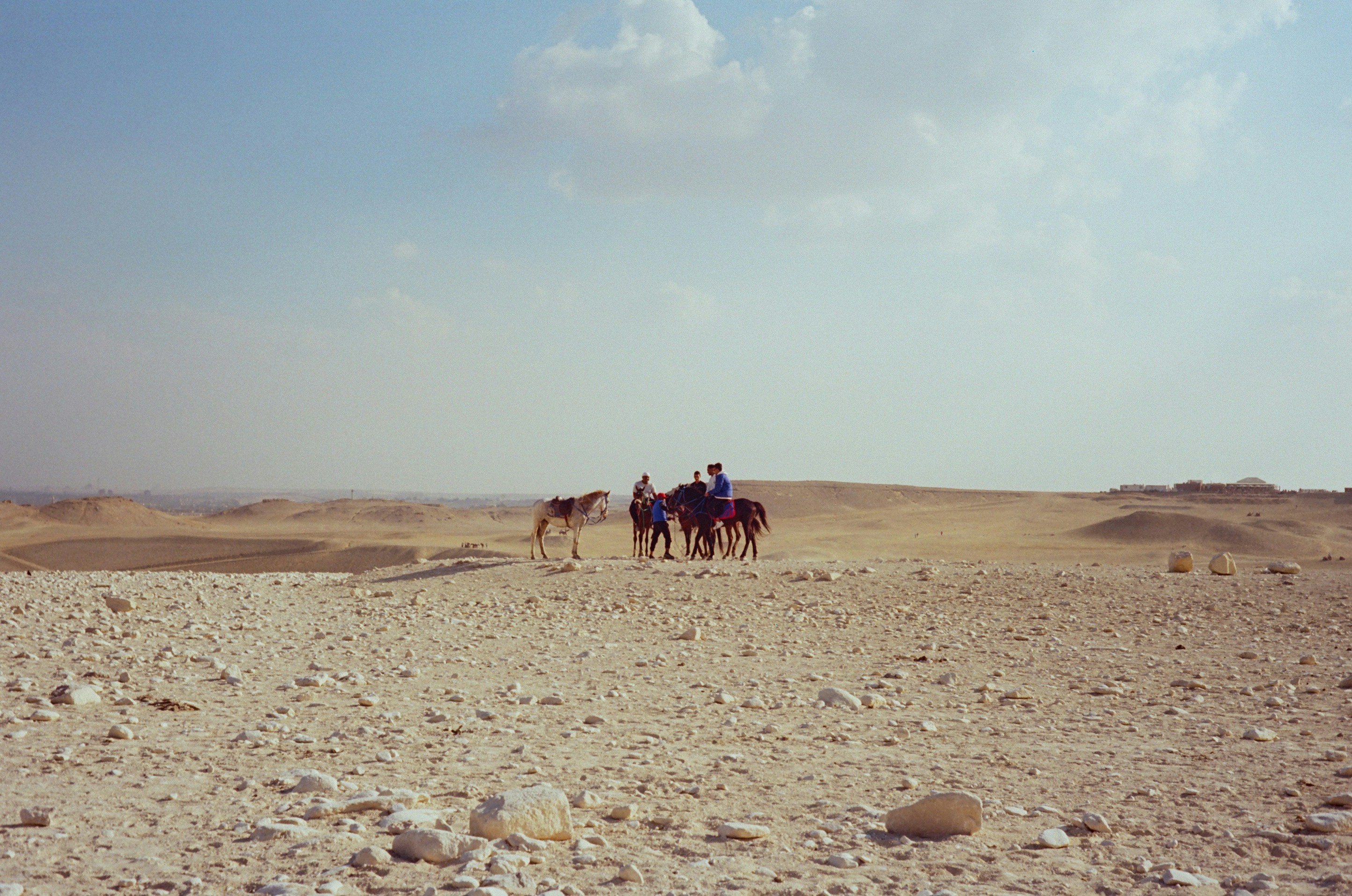 Horses and a dog traverse the desert landscape.