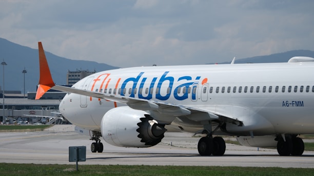 Dubai to Delhi Flight