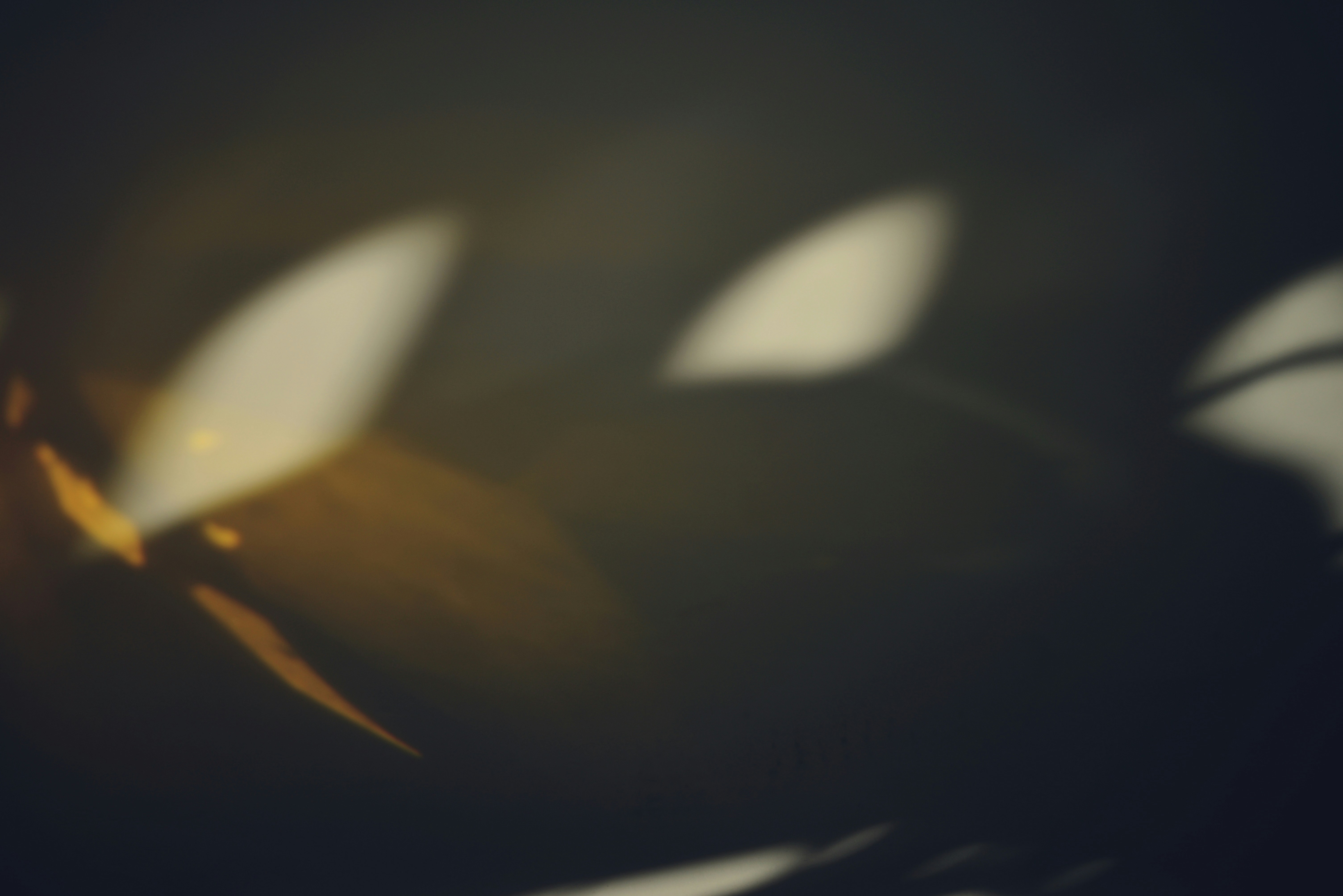 Photo by cherstve_pechivo