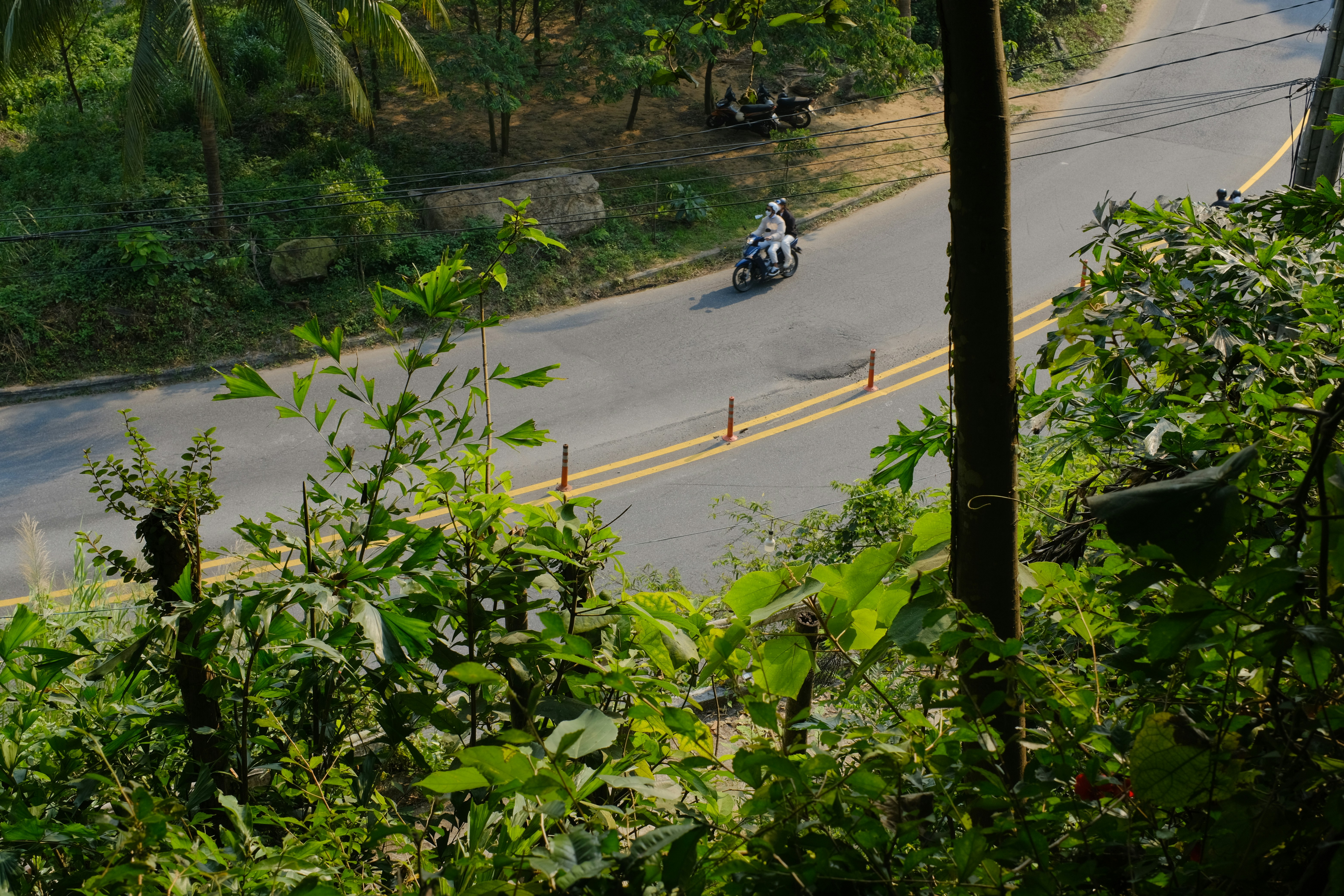 Photo by hoangso8000