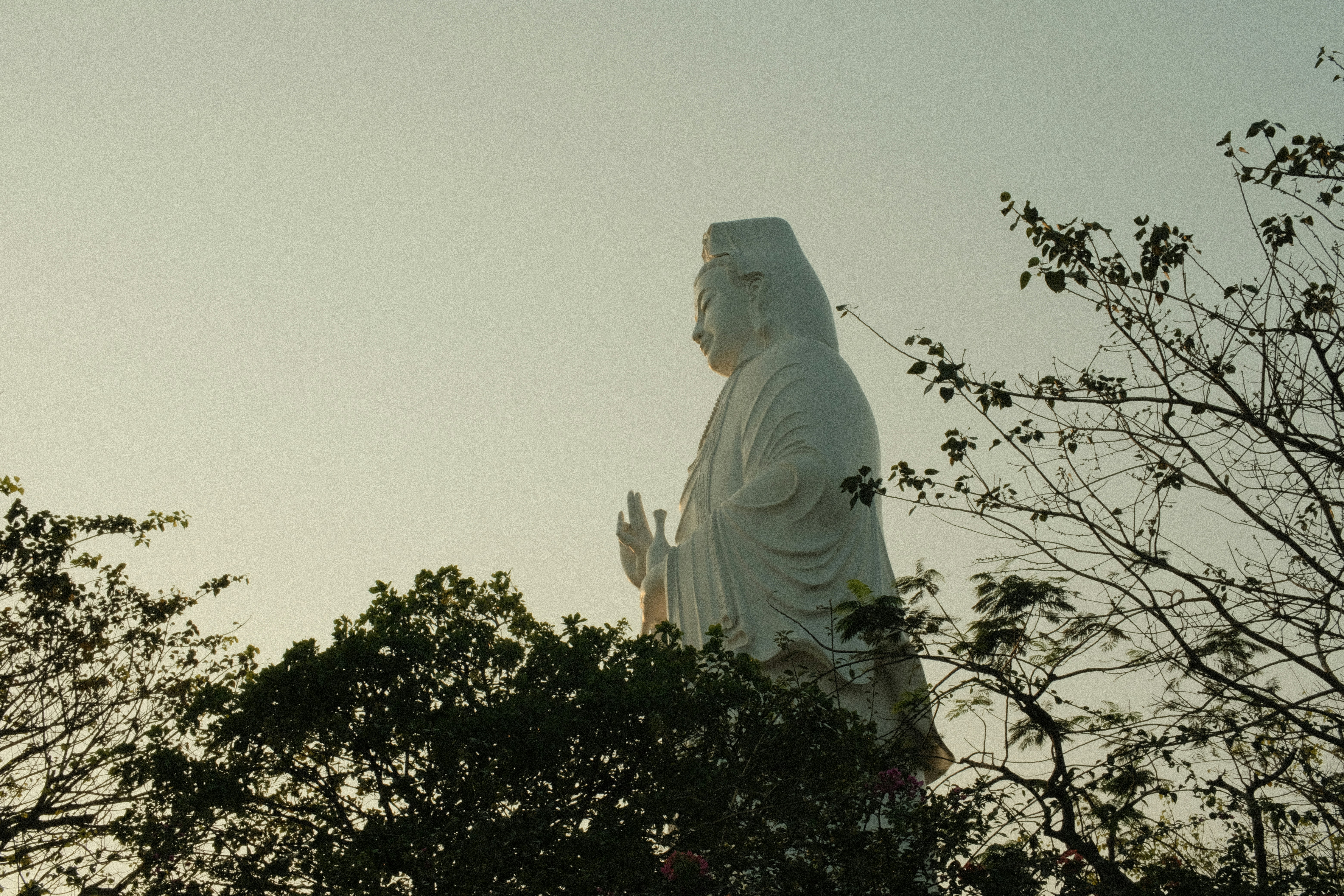 Photo by hoangso8000