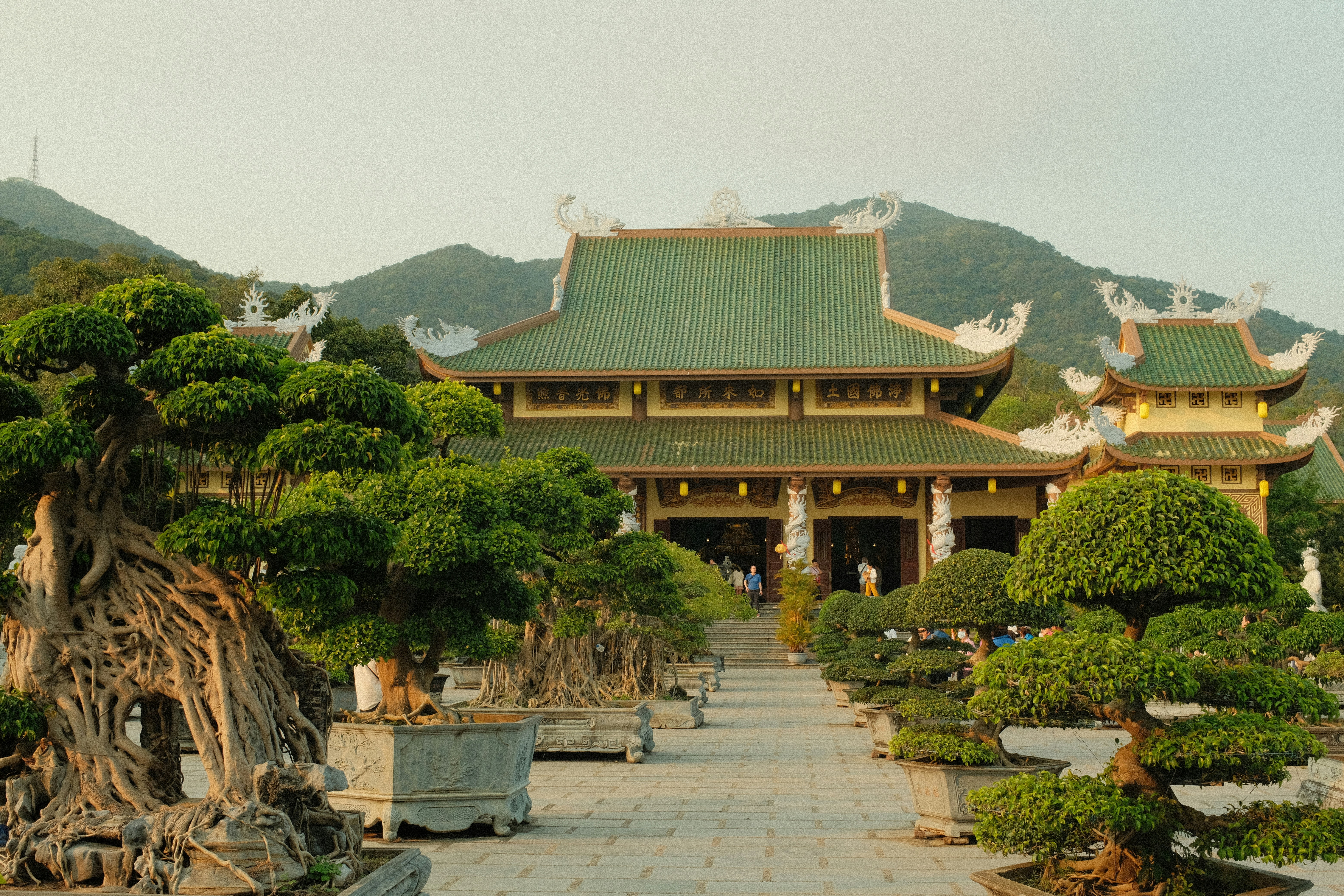 A beautiful temple surrounded by bonsai trees.