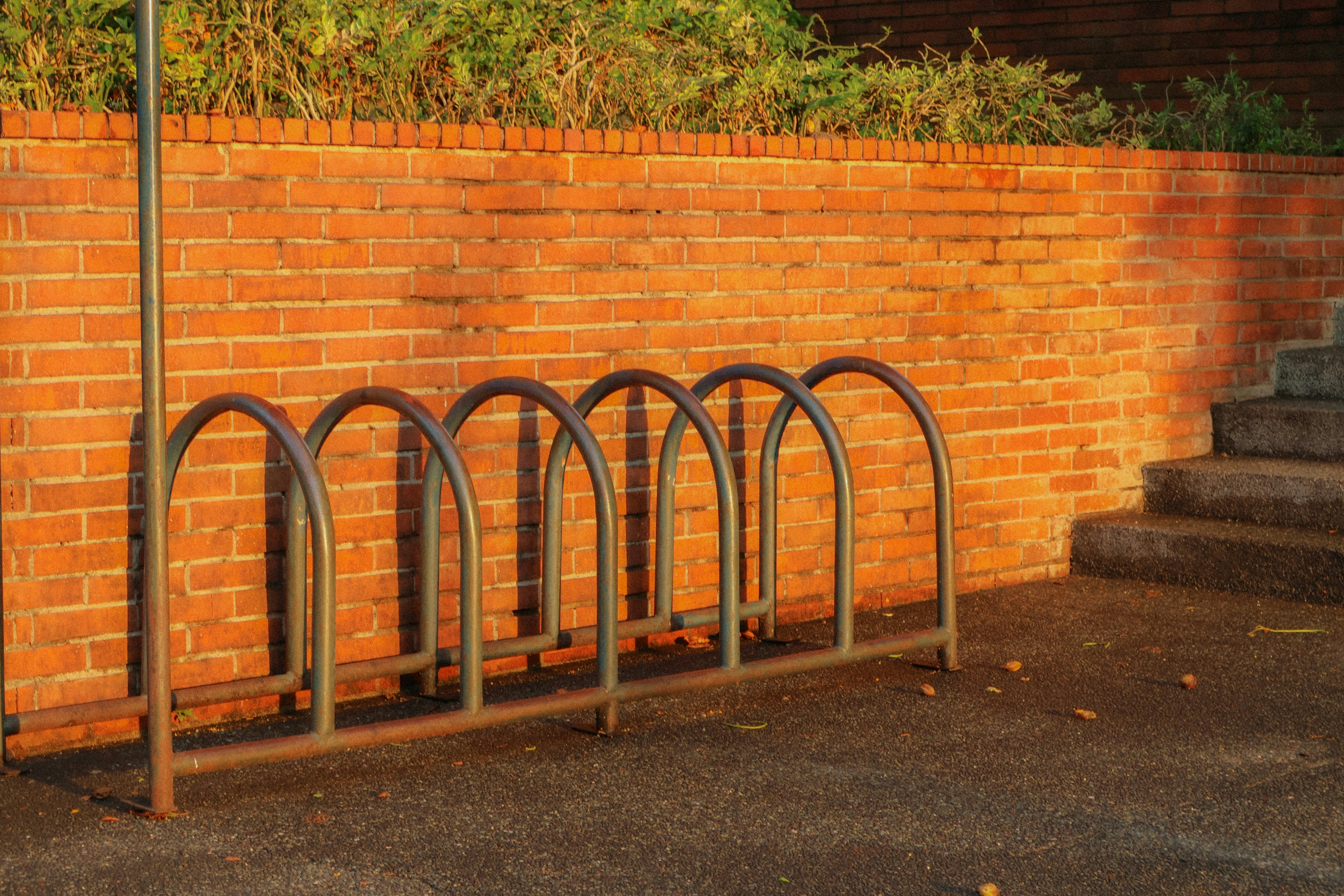 Photo by bridgetadolfo