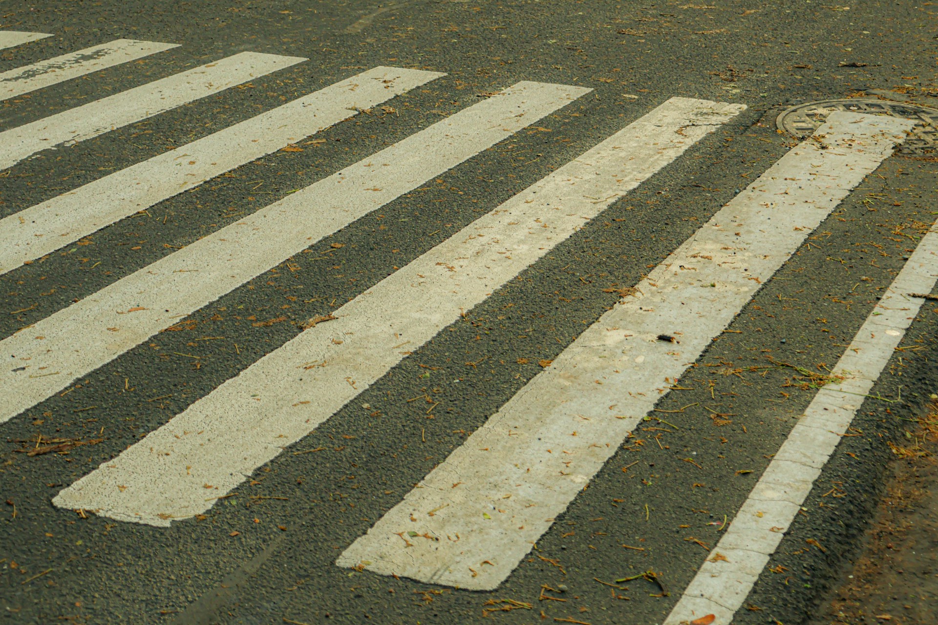 A close-up of a pedestrian crosswalk.