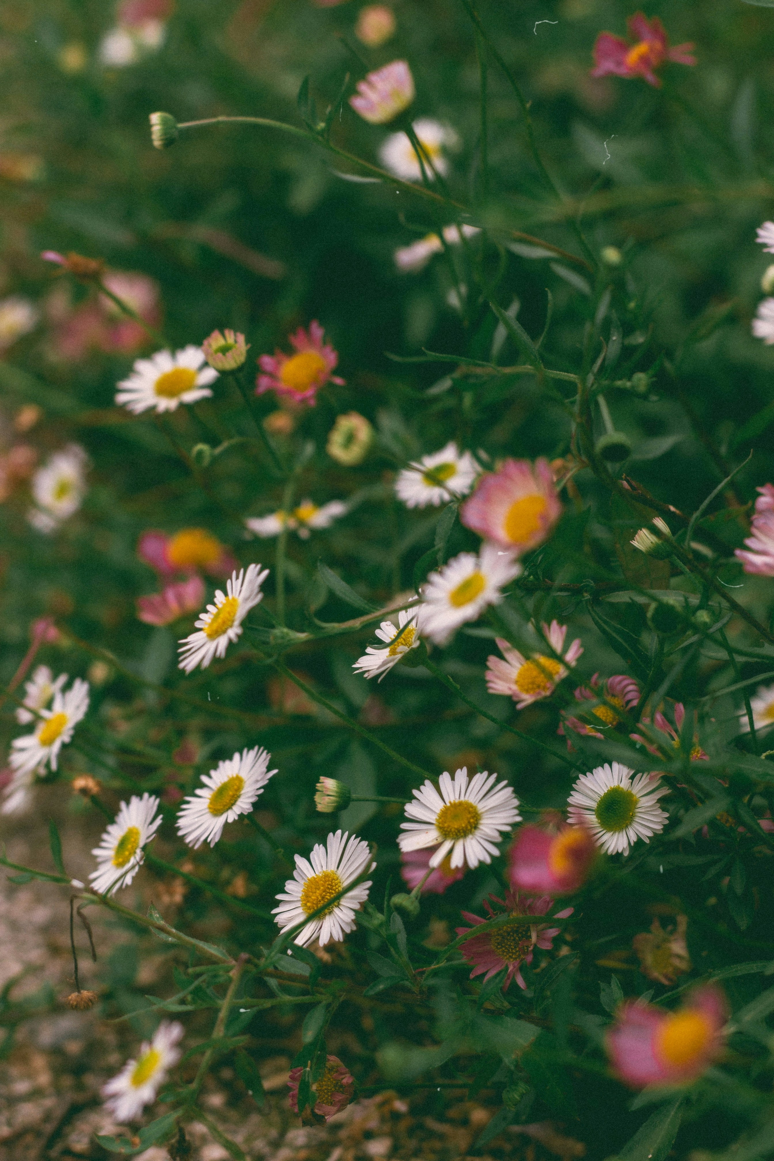 Photo by omarcelorangel