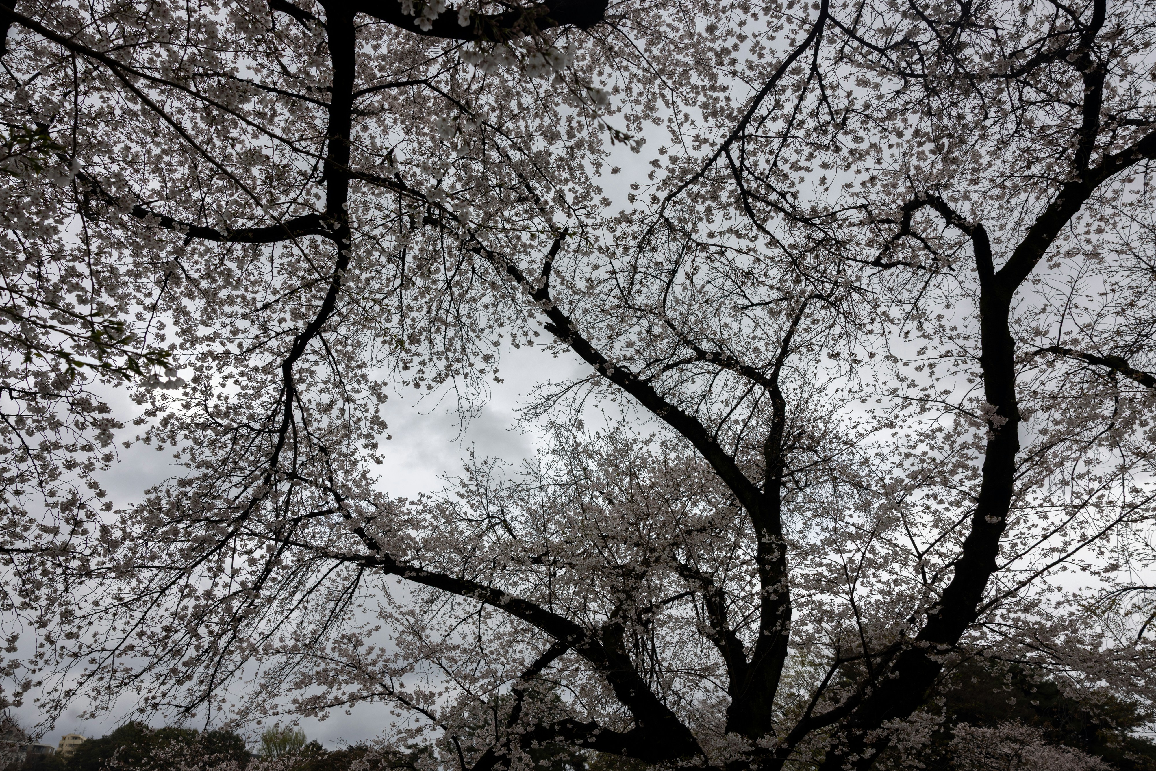 Photo by solenfeyissa