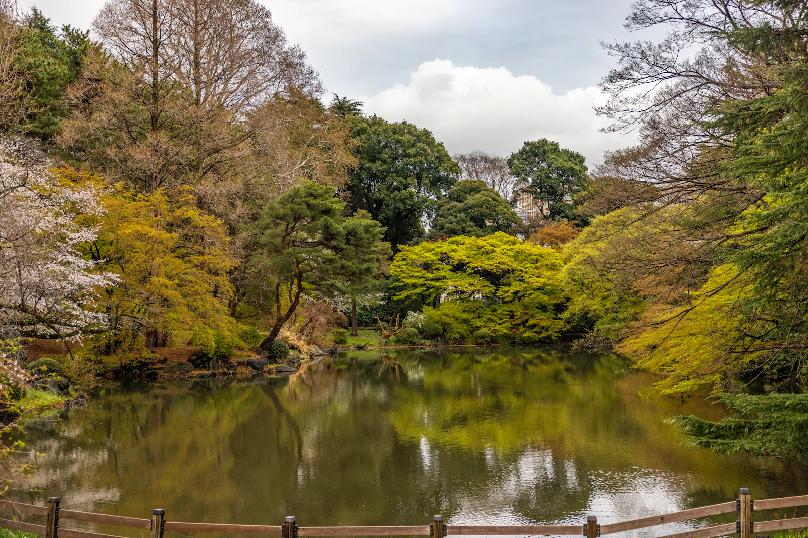 Karuizawa — photo 2