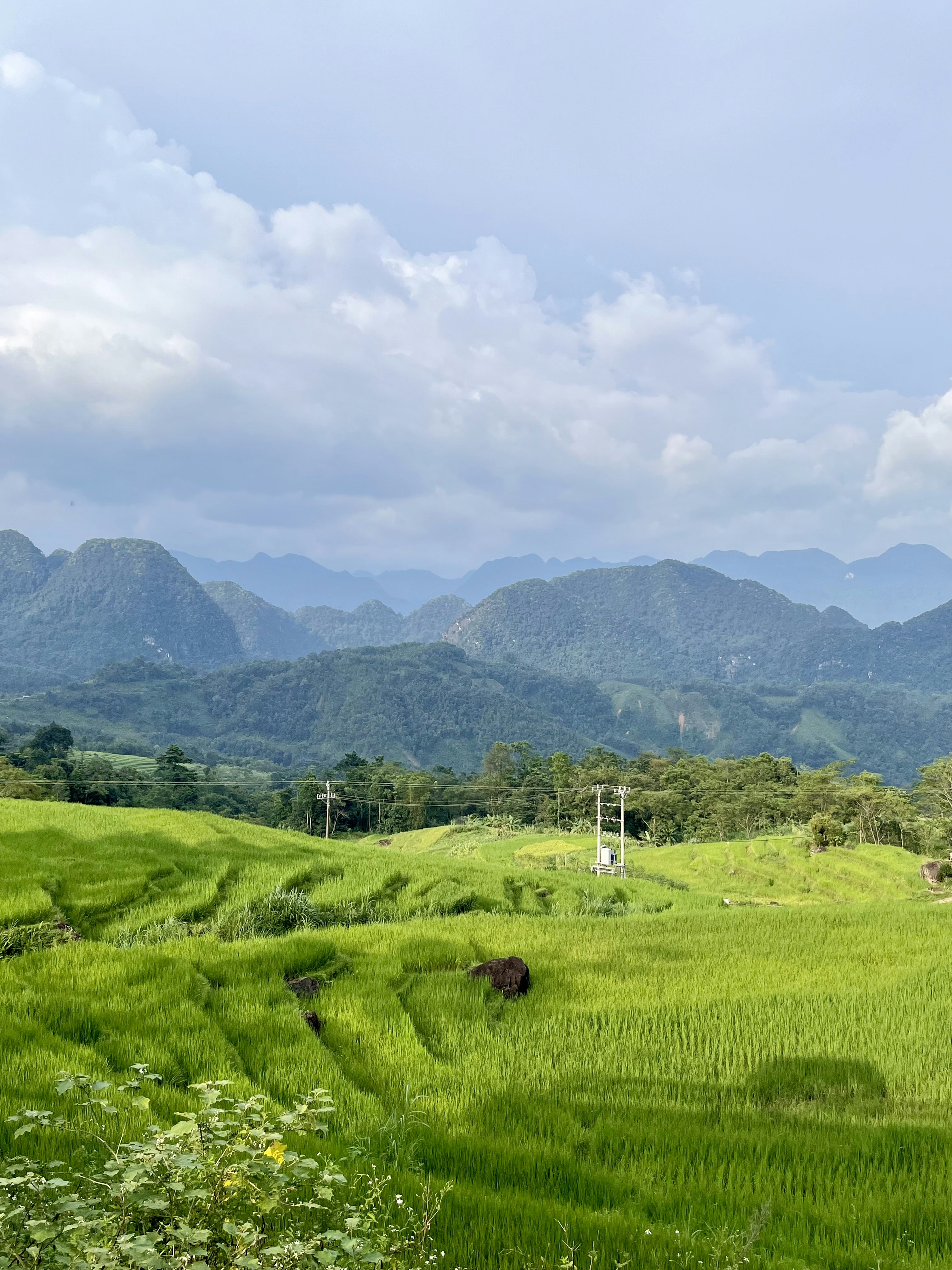 southern thailand landscape, wallpaper, Perang Thailand Selatan: Pemberontakan Berkepanjangan 1