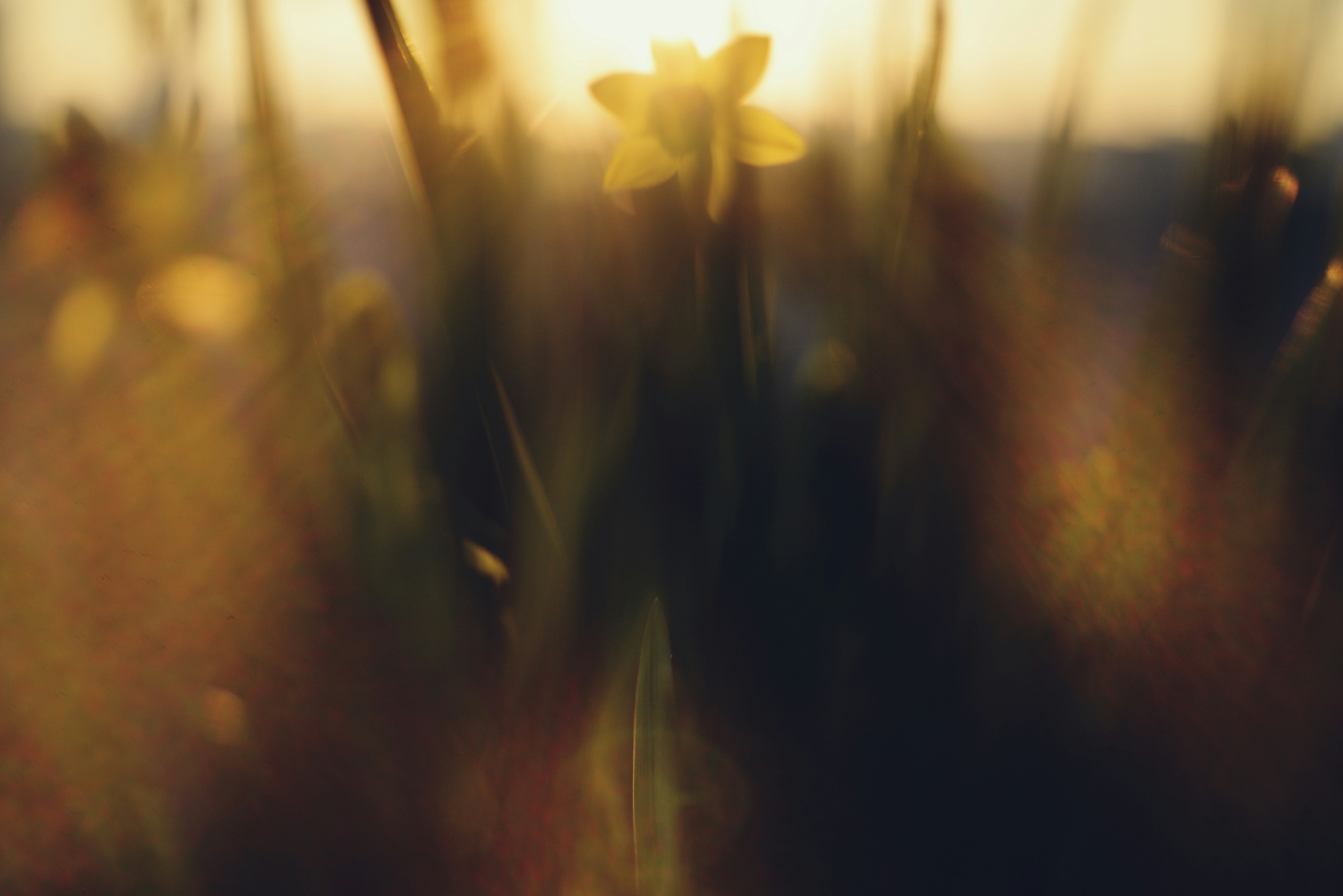 Photo by cherstve_pechivo