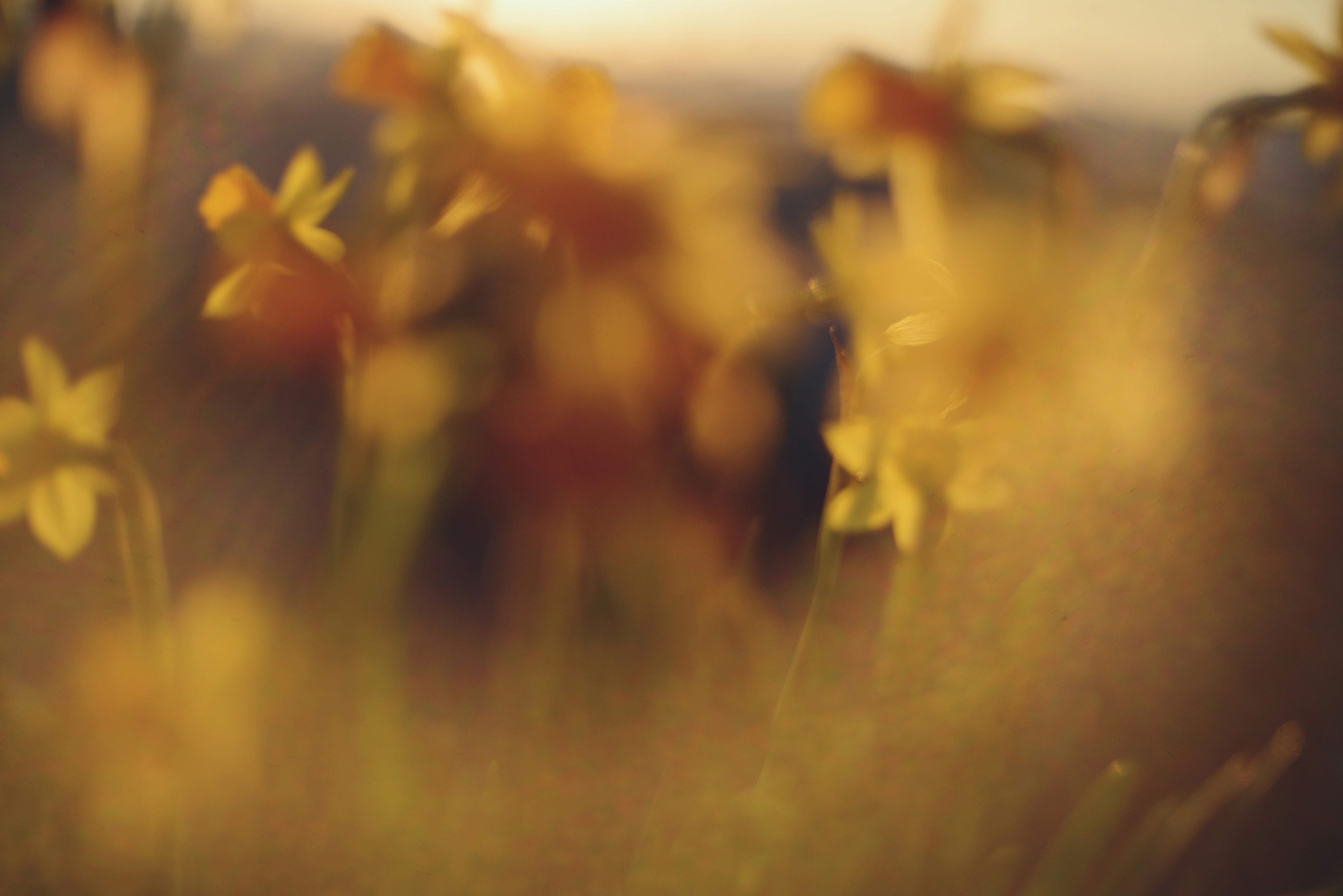 Photo by cherstve_pechivo