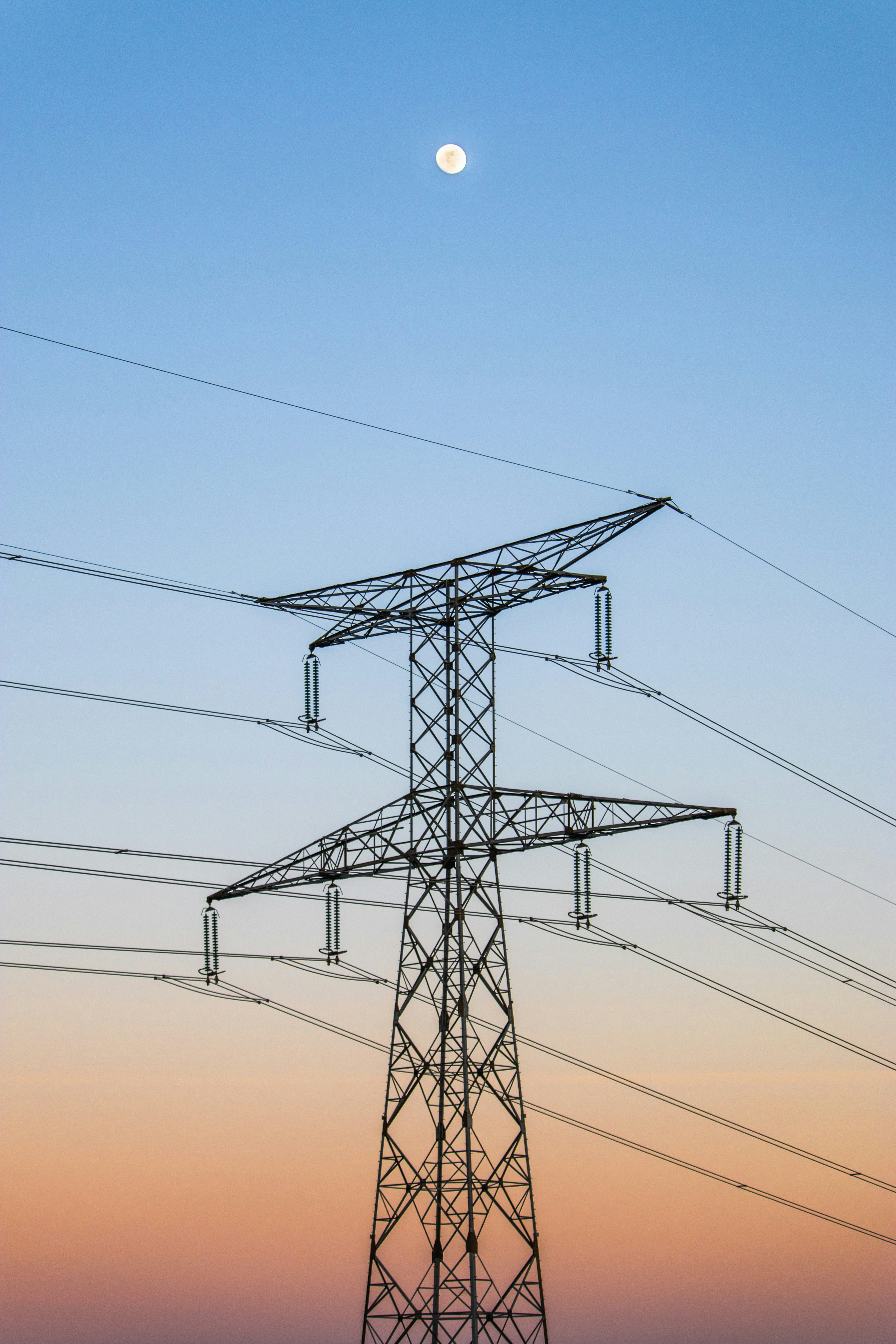 Photo by lucasgallone