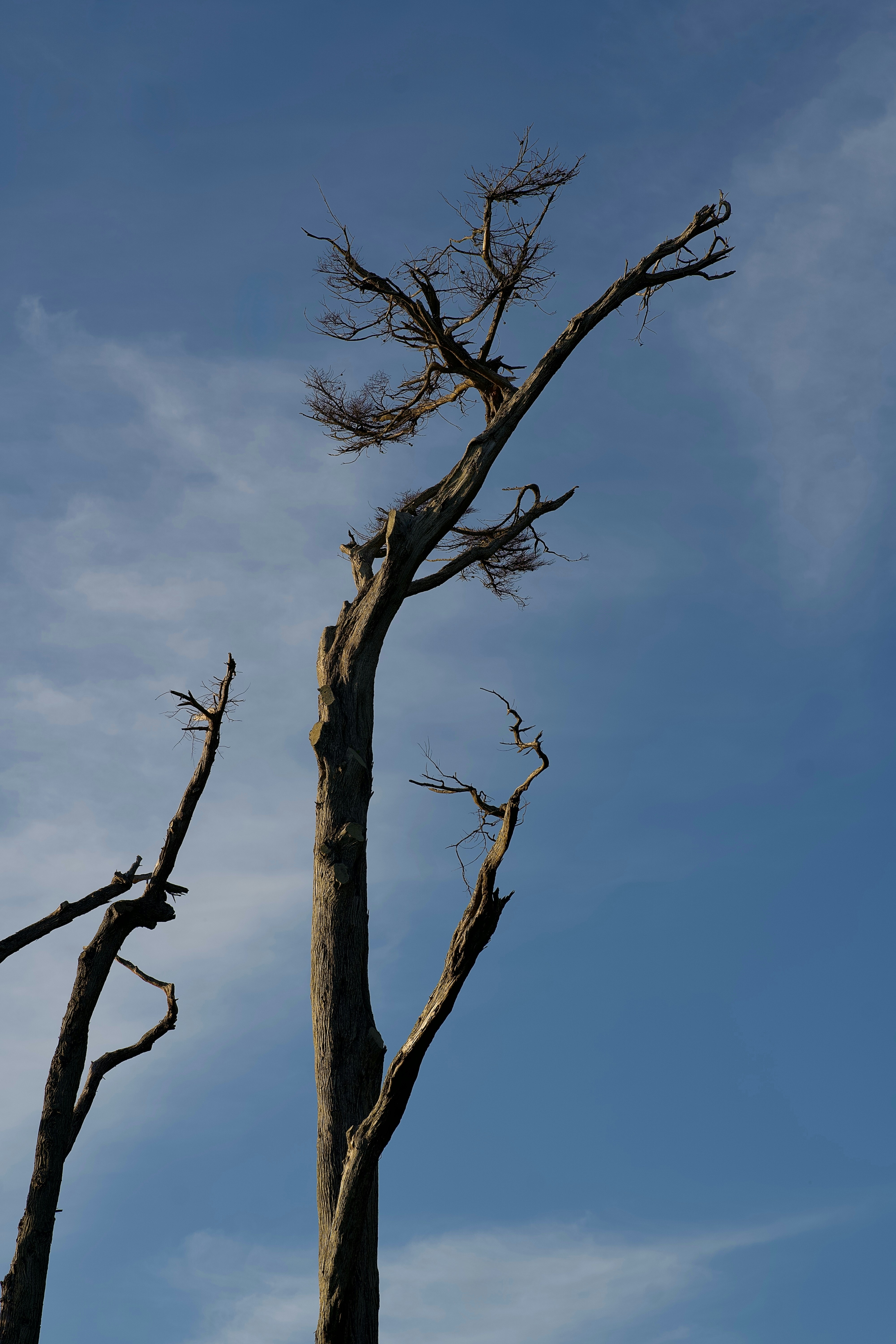 Photo by vishalamruth