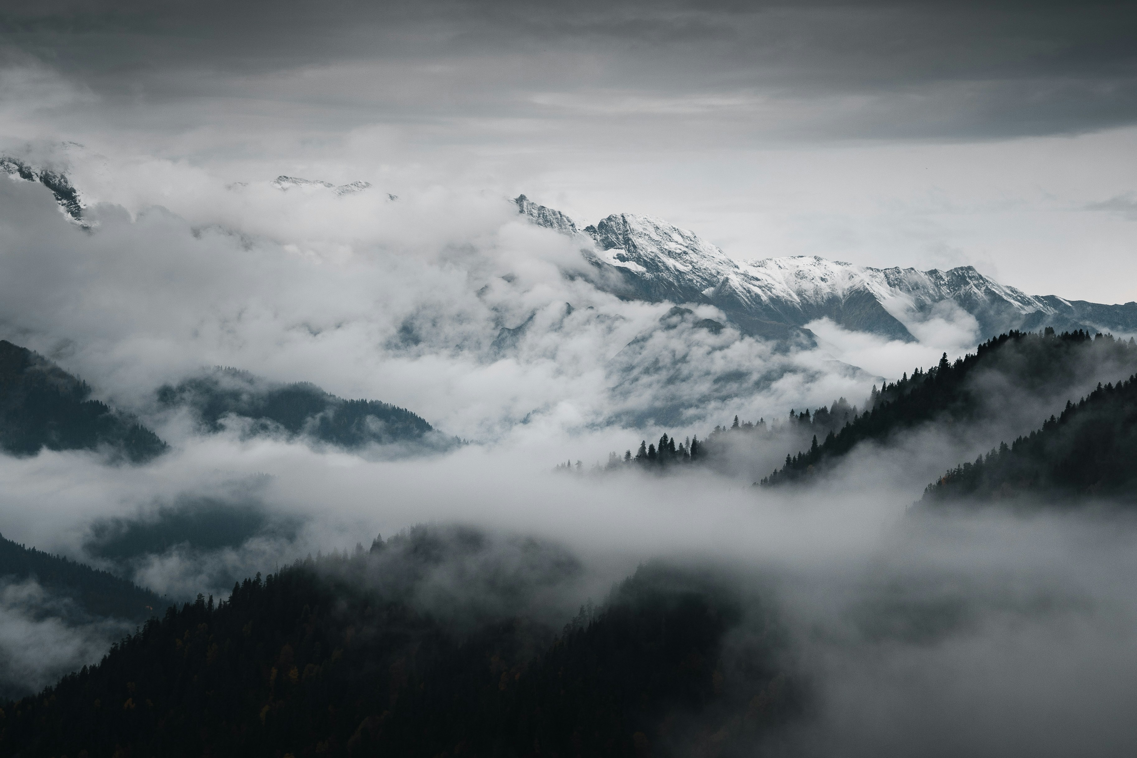 Photo by auchynnikau