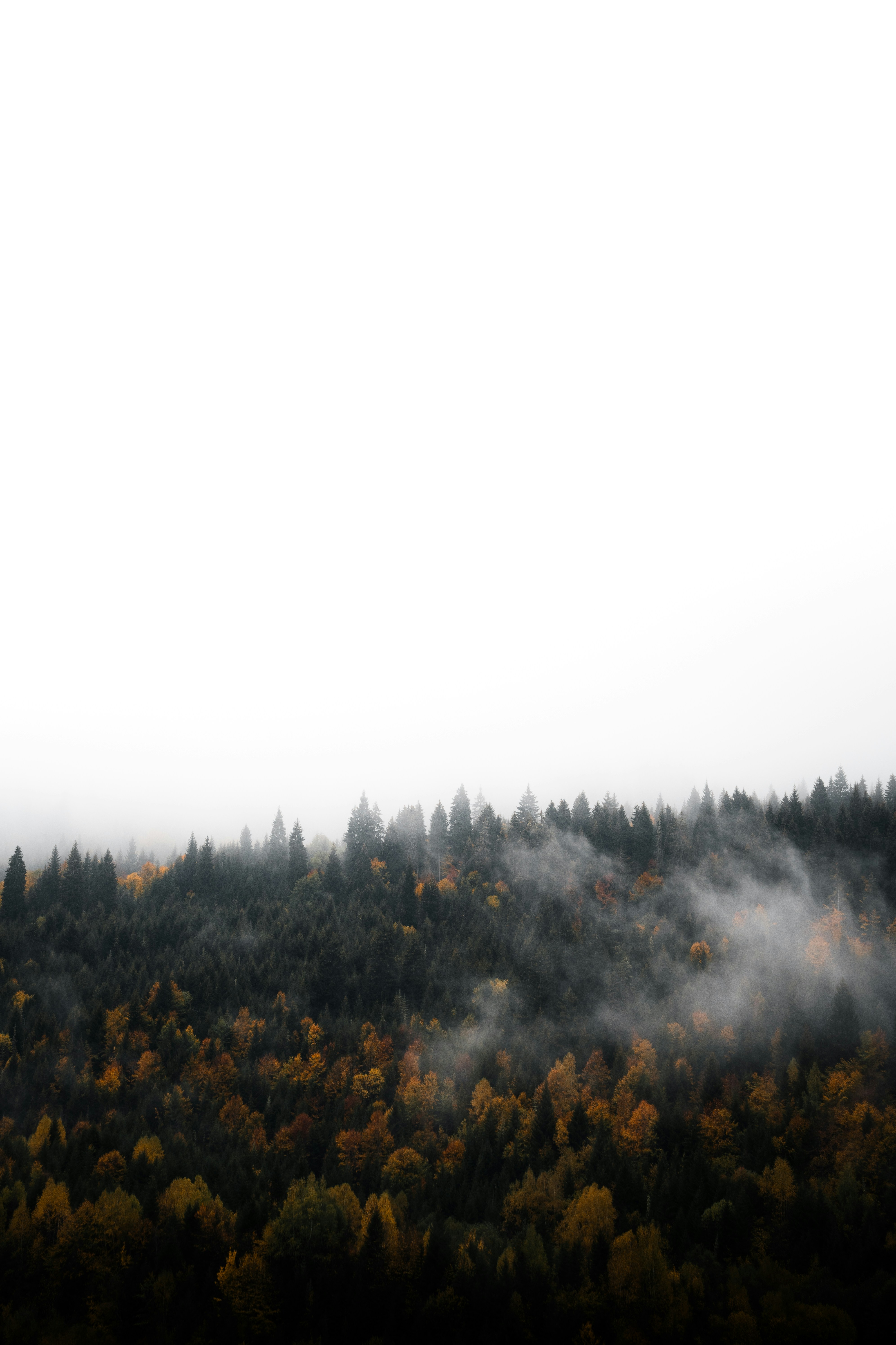 Photo by auchynnikau