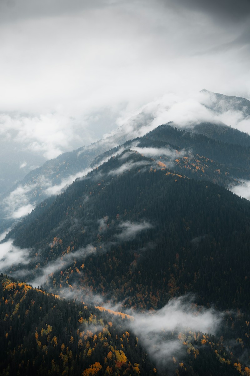 Ever Wondered Why Monsoon in Dehradun is So Popular?