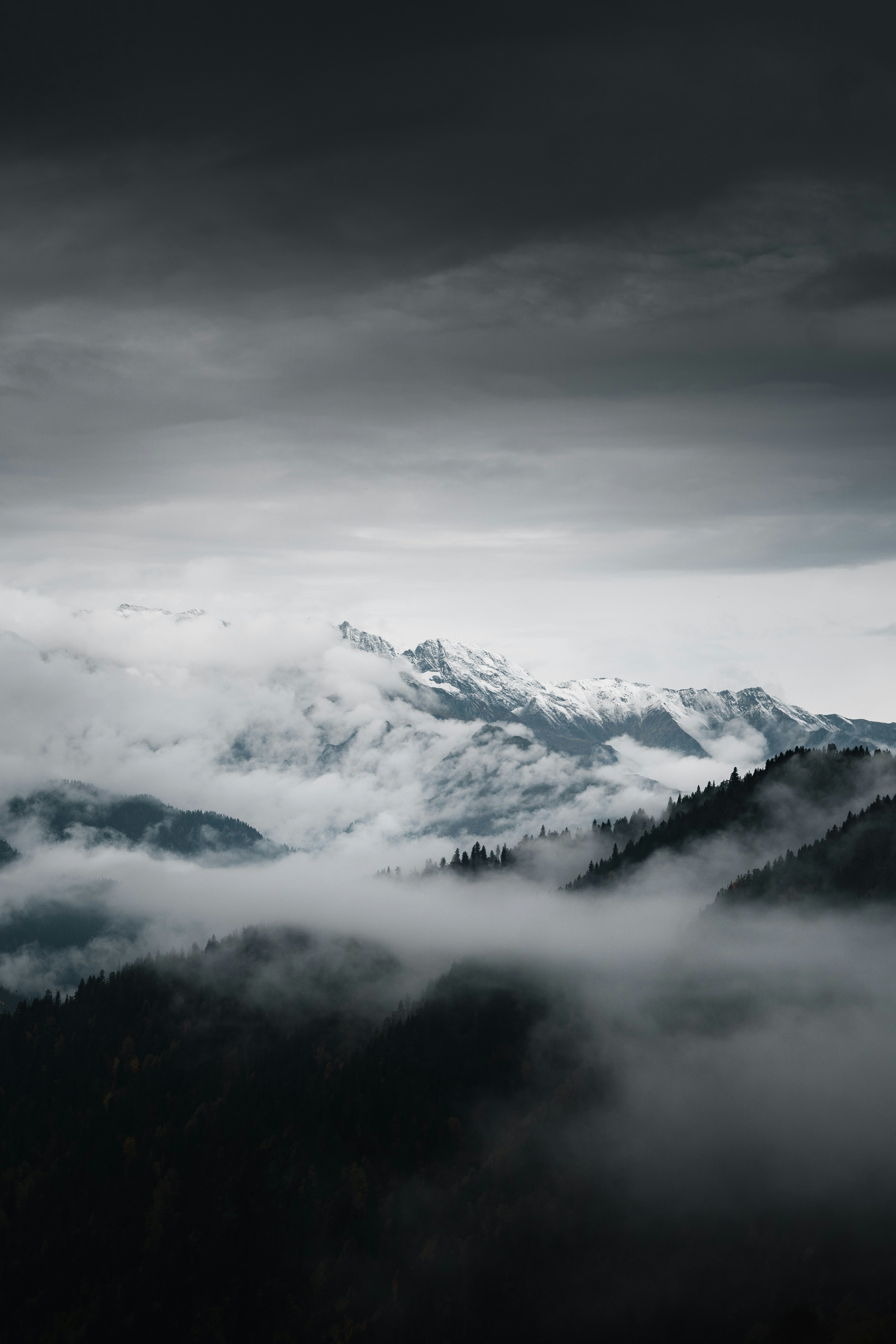 Photo by auchynnikau